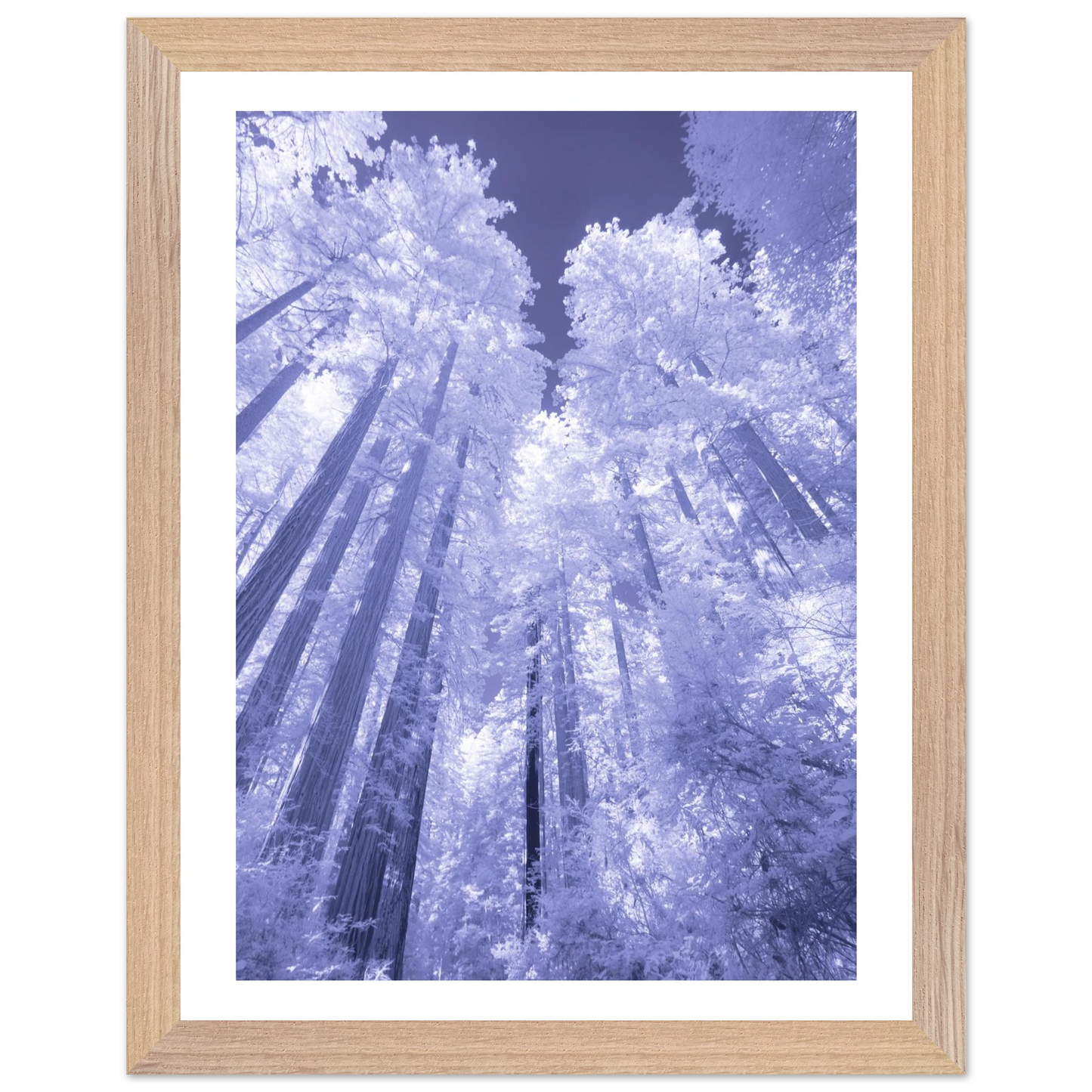 a4977197-b8ba-4cb9-945d-03a2b40c1881