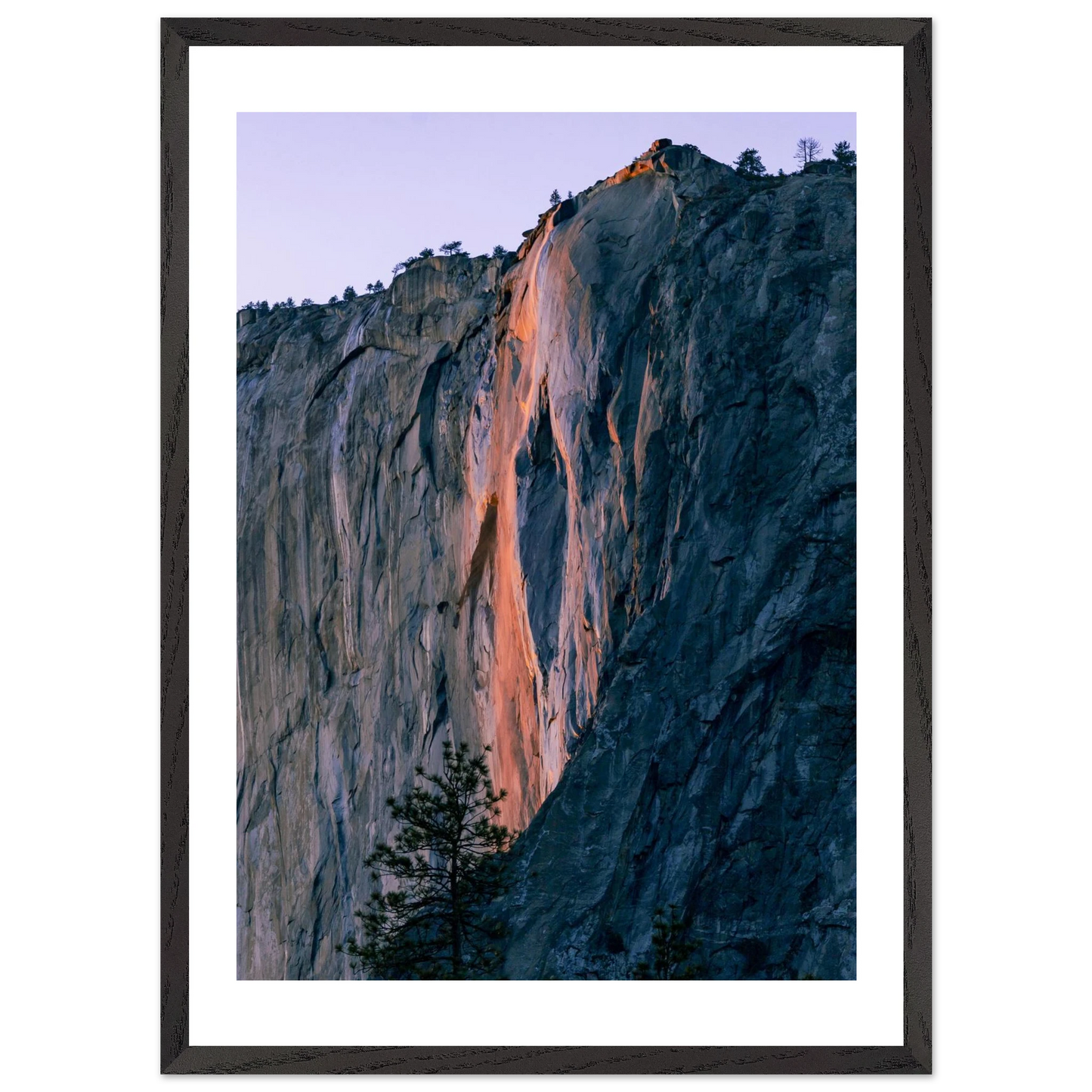 a50bbd25-f56f-4204-8d77-e0c3b2eb8948