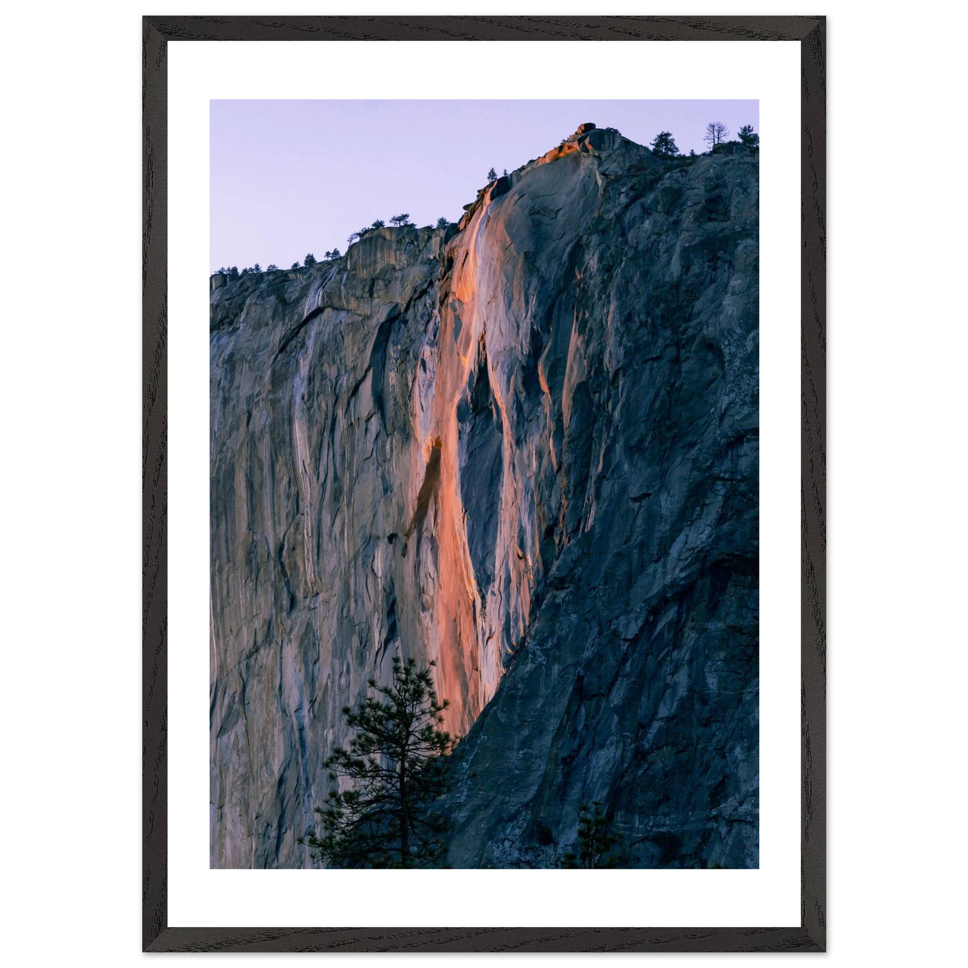 a50bbd25-f56f-4204-8d77-e0c3b2eb8948