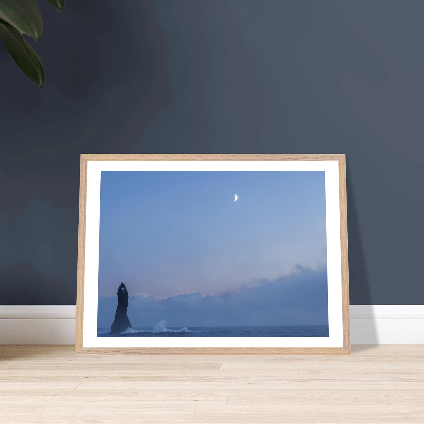 a558d01e-24b6-4248-9331-c02669d27473