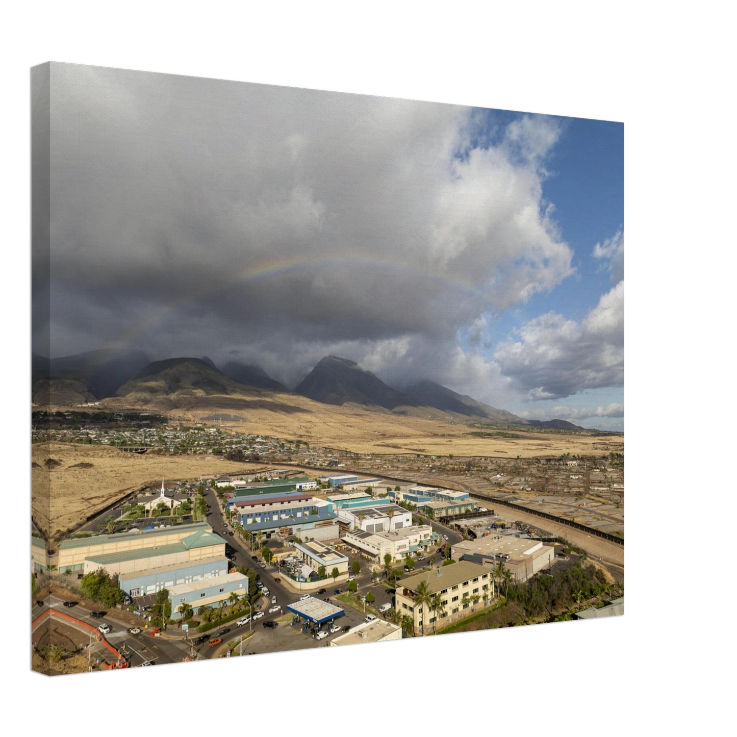 a55d67c9-2824-4d03-b9c3-e380b8e005c0