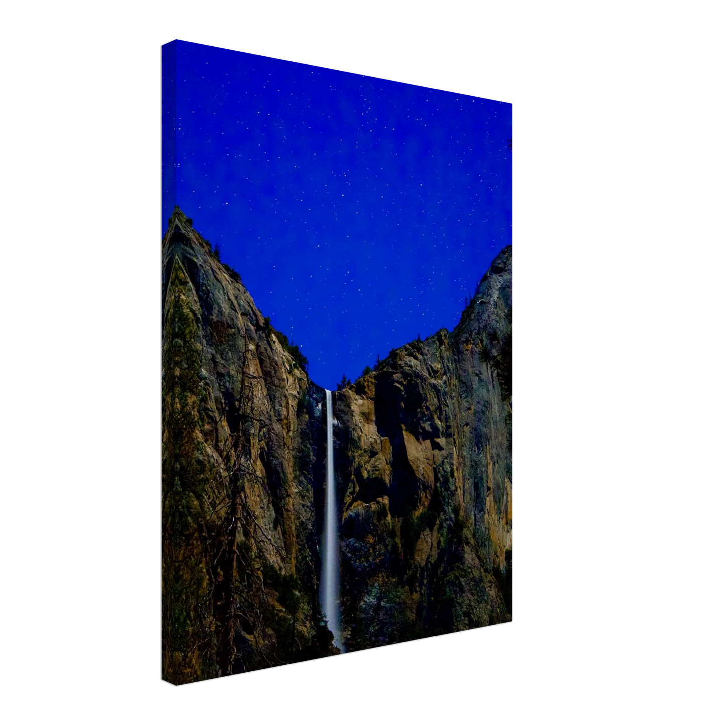 a5ffa6f5-da11-43a3-8f7f-077adca6b6fd