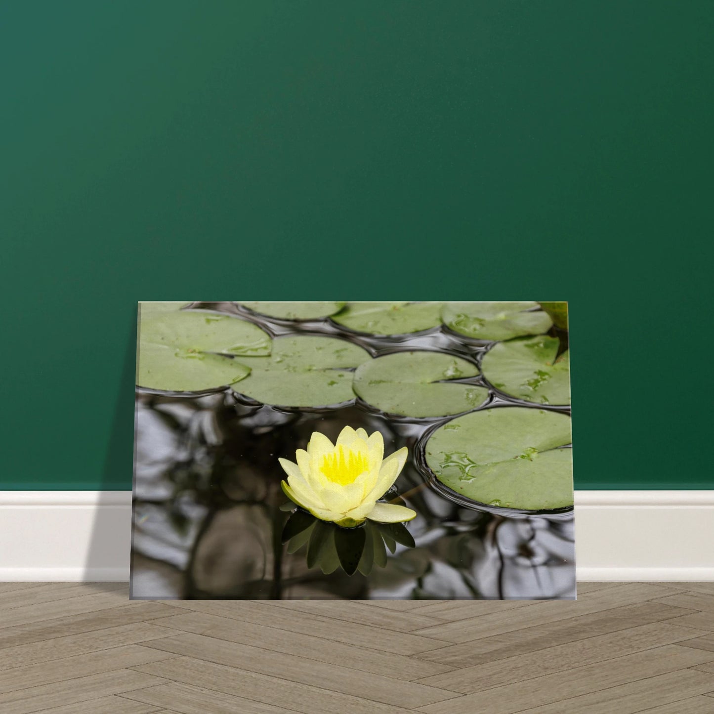 a75bf465-67b7-467d-baed-da50310c79de