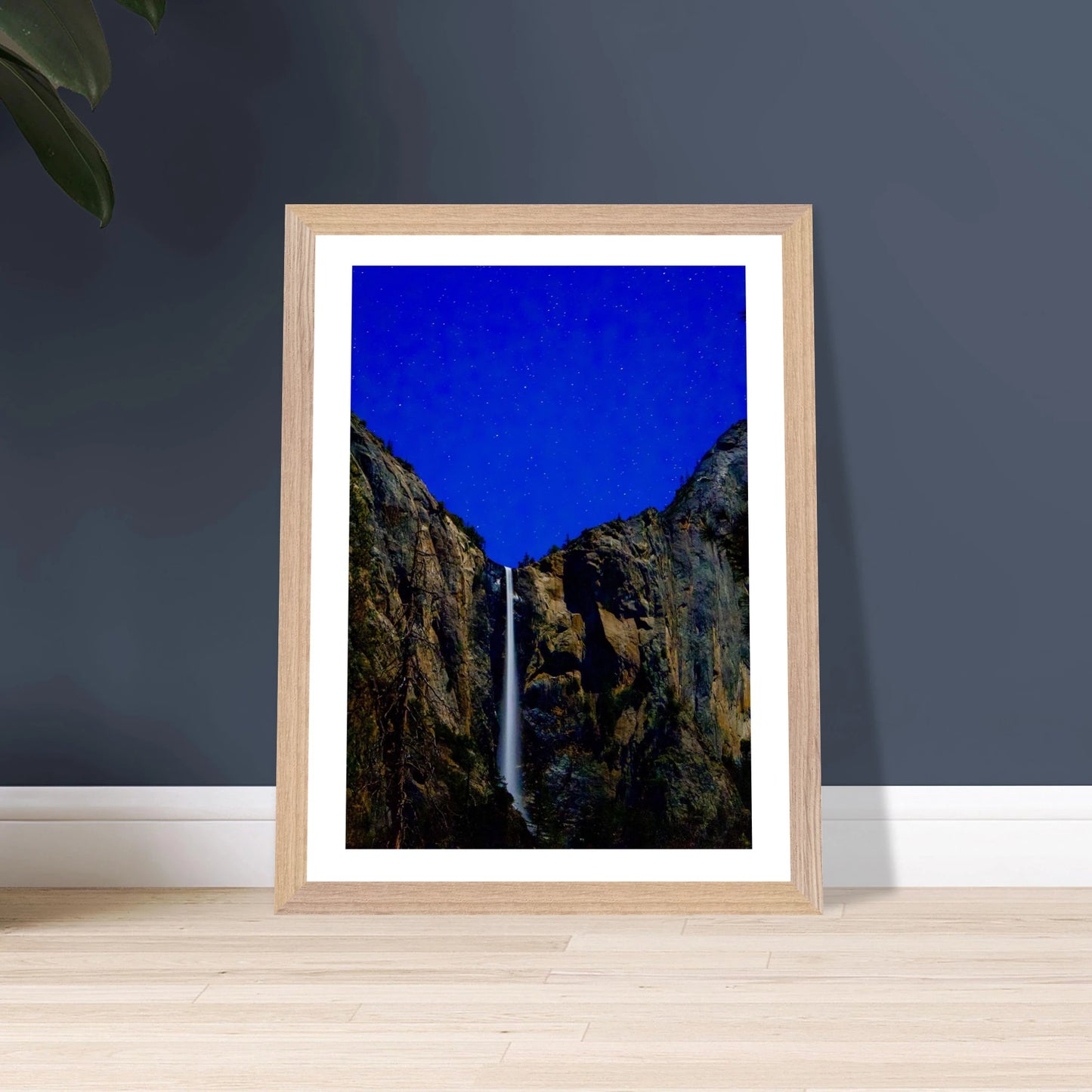 ab458424-fcc9-47d2-8b2b-0c3f8ccdf65a