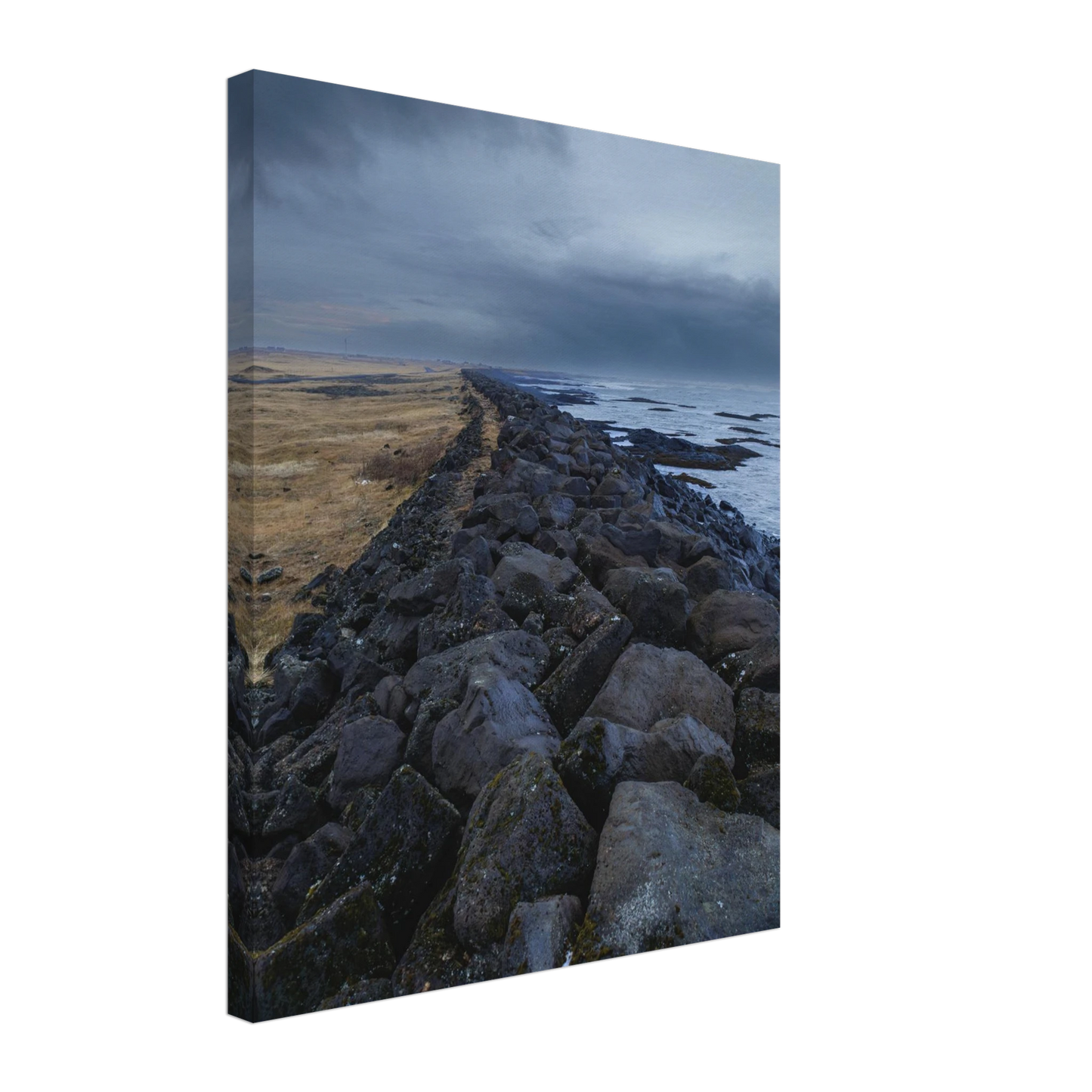 ac729e49-b693-4c75-b213-74f91b851e1c