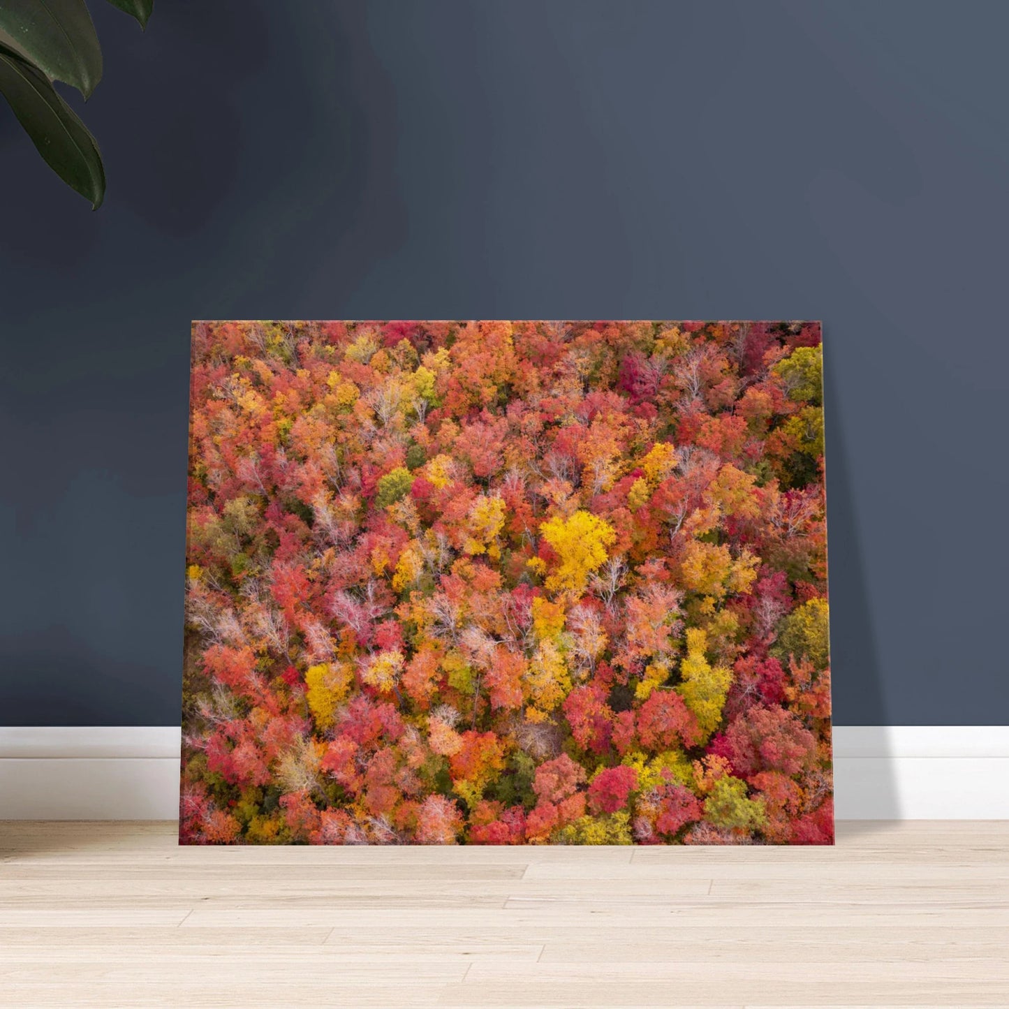 ae5bd32a-4be1-42dd-b3b6-f5a053f1f476