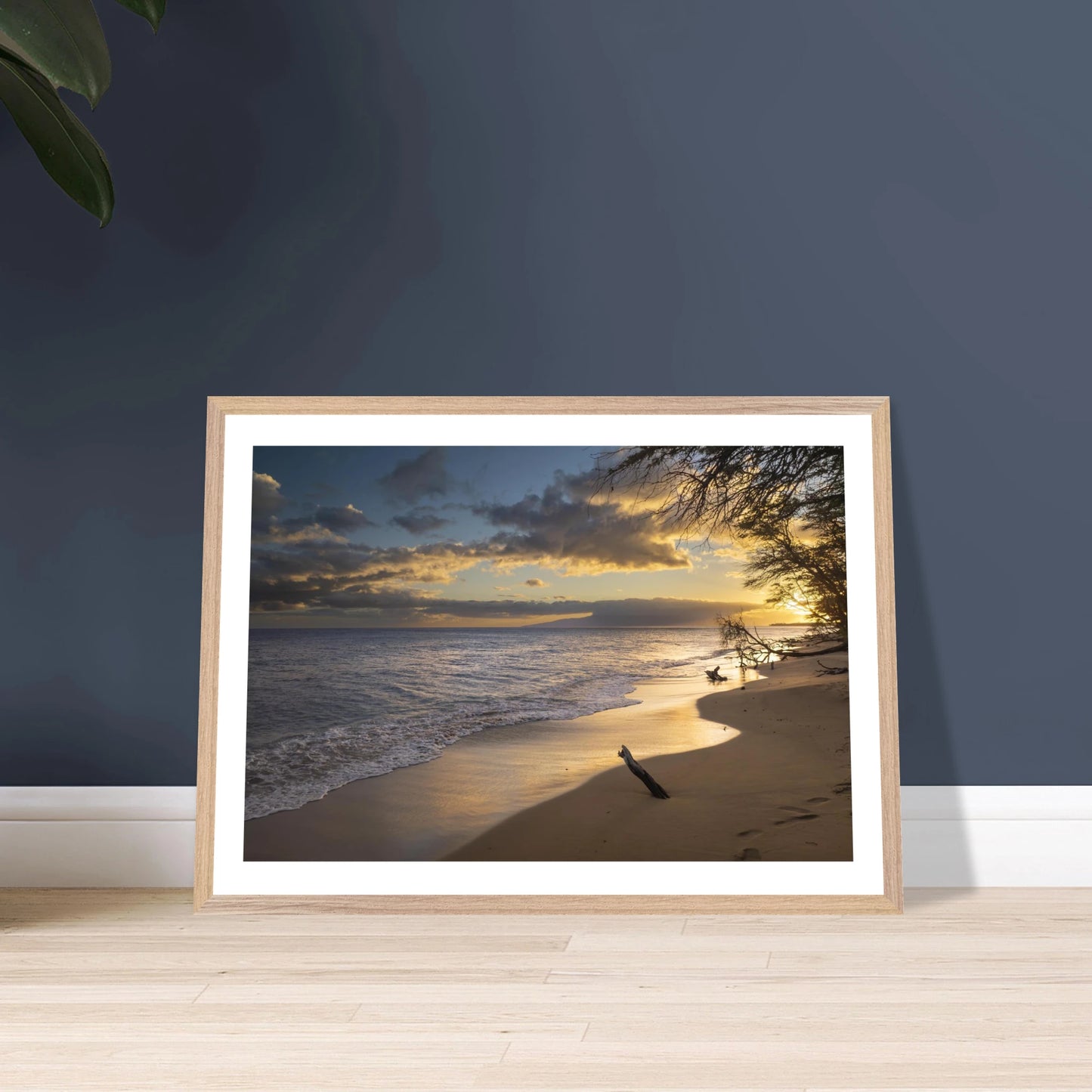 aecb8520-180a-440c-a65c-b15452facdcc