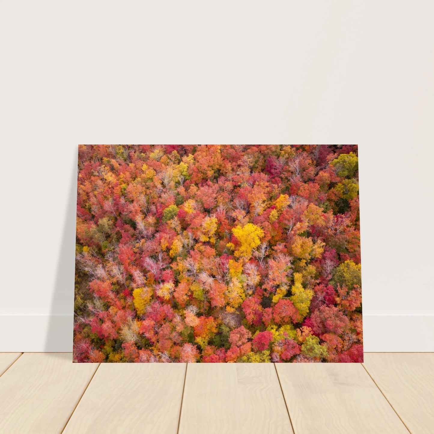 aed8f5f7-a1cc-4d42-bb66-e8bc67c8c92a