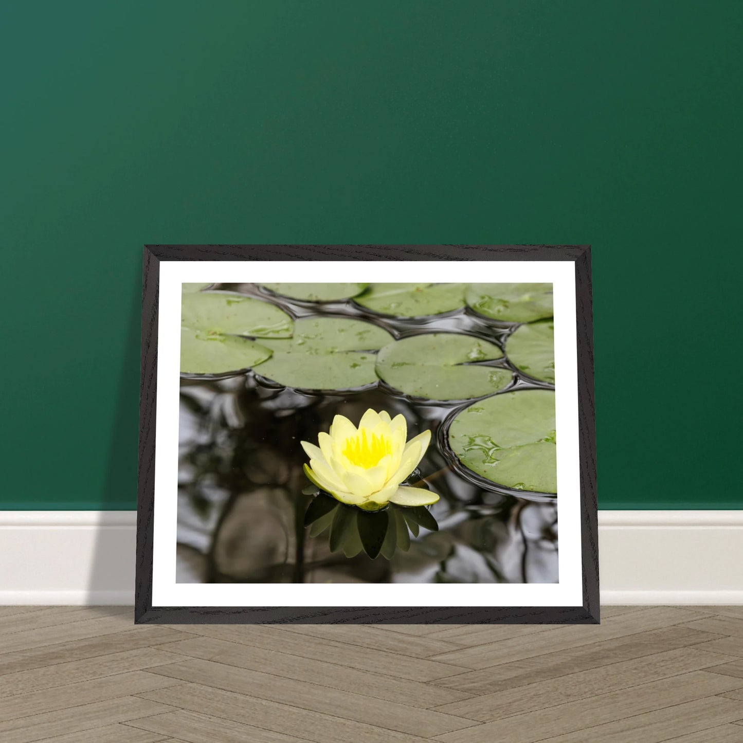 af7b9087-8670-4542-b827-ebc516da7664