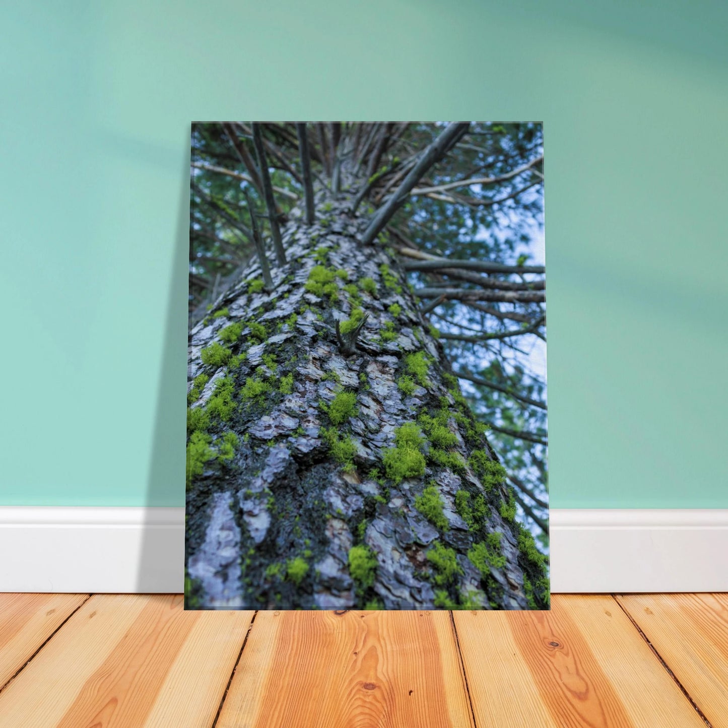 afa2ce90-6fa3-4320-97dd-f4c0a29c5b8b