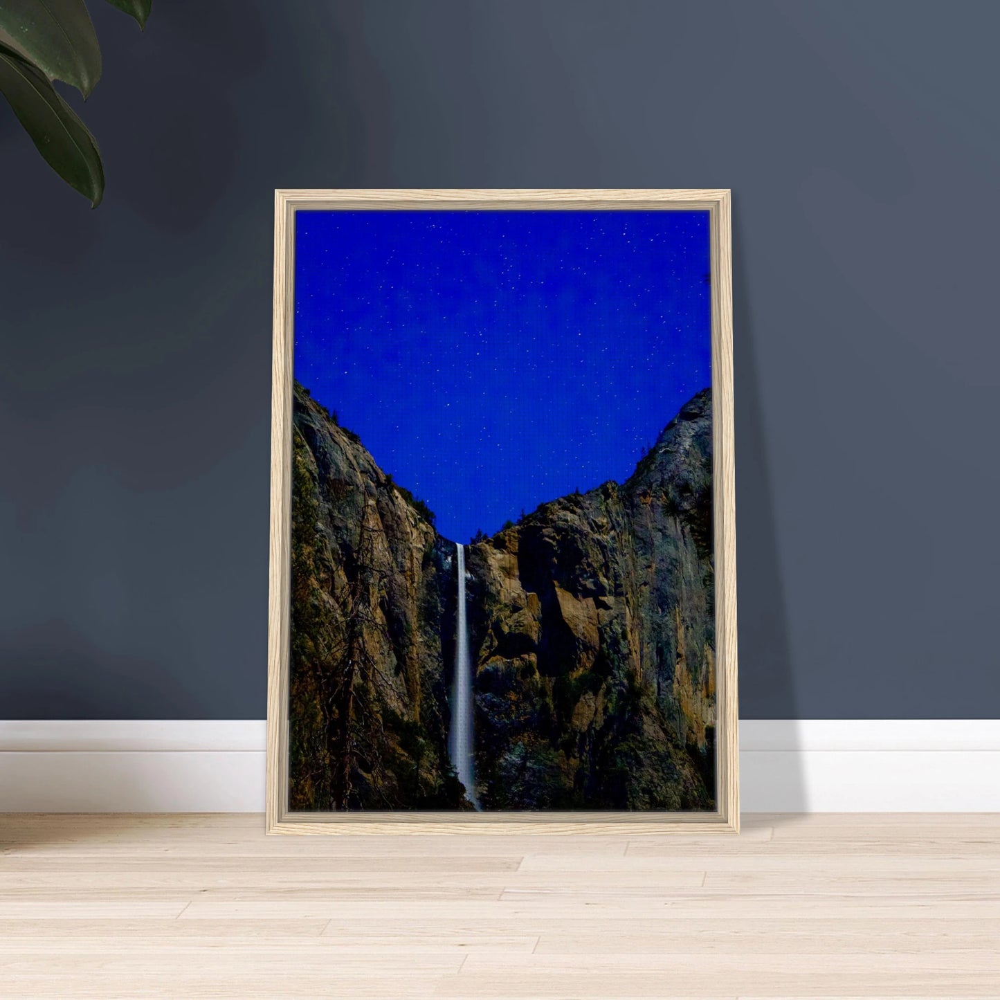 b0a9aca5-e343-4cc9-a492-ed0567bfacfc