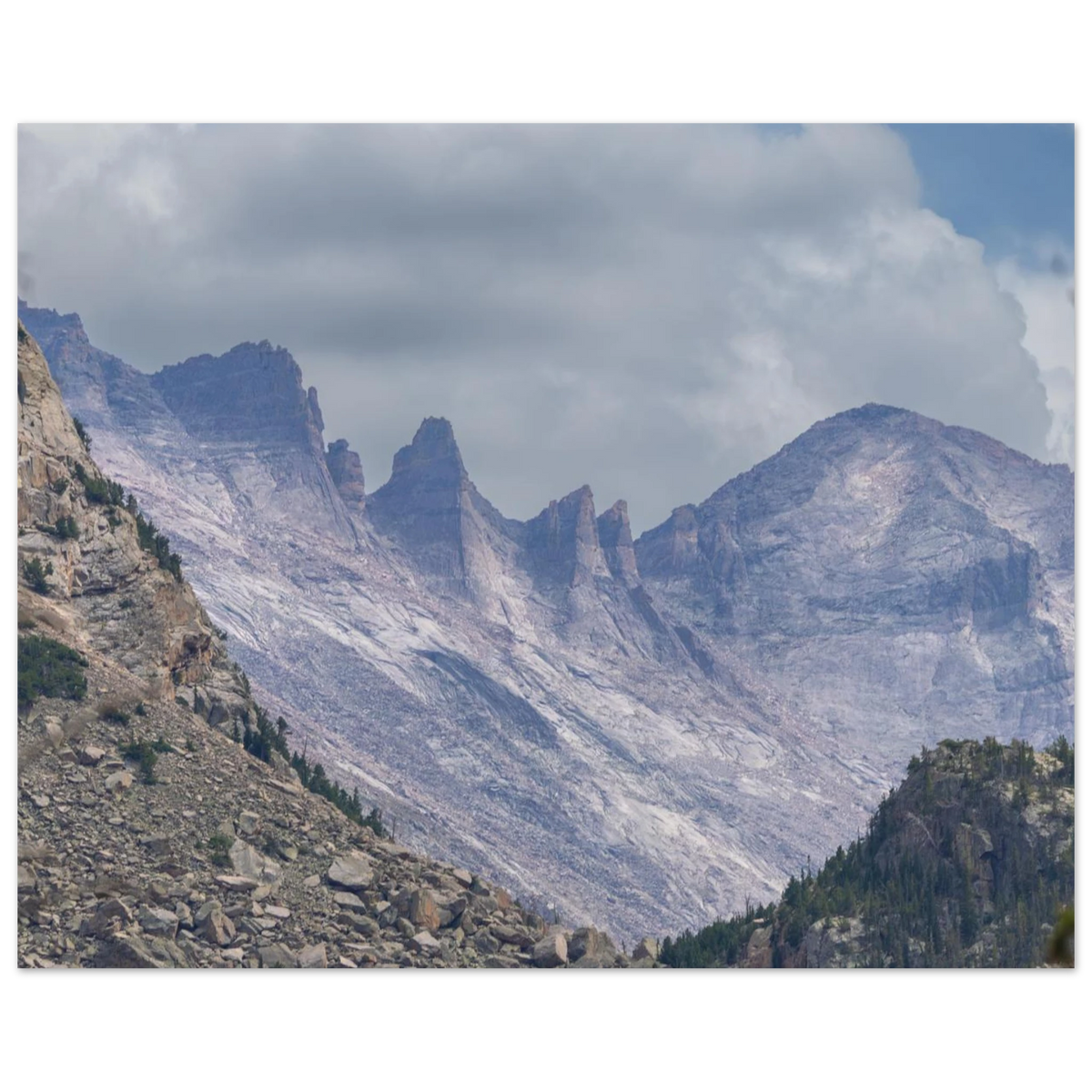 Infrared Redwoods — Dawn Sentinel — framed or canvas wall art preview