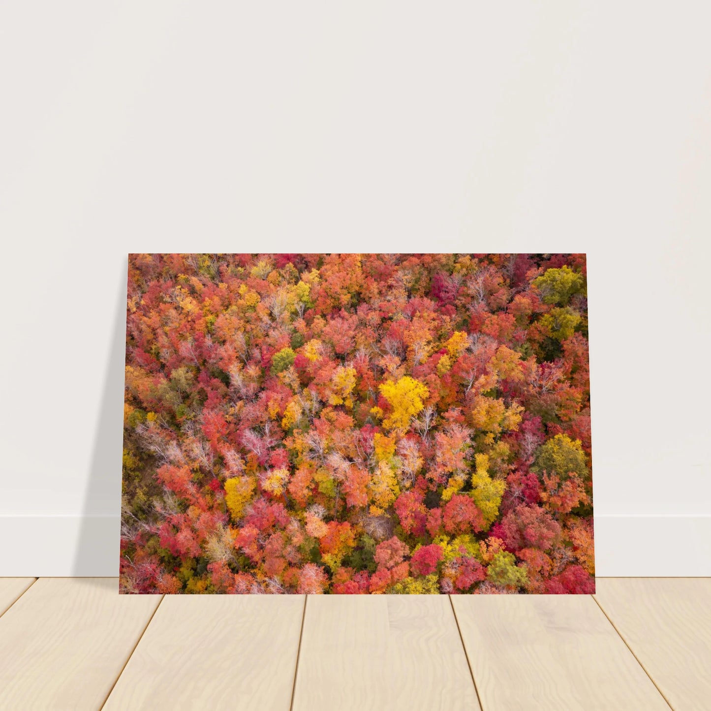 b1006c39-86d0-49c8-a3e5-ec3ac2b5a660