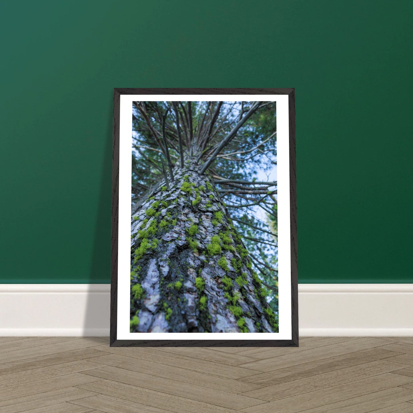 b2eb934a-fe8a-4023-9646-3813a3a00181