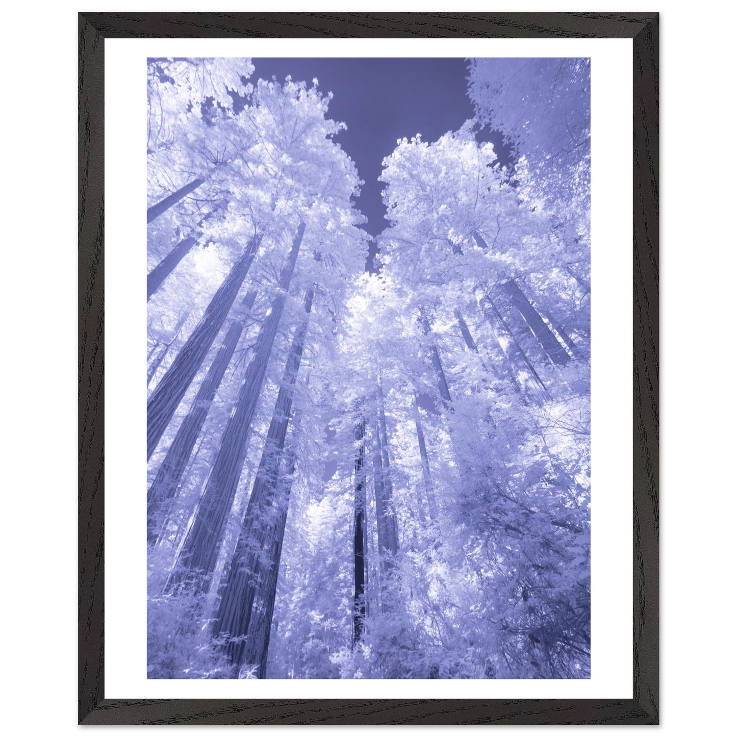 b31073ce-4135-44a5-84df-feeb263044df