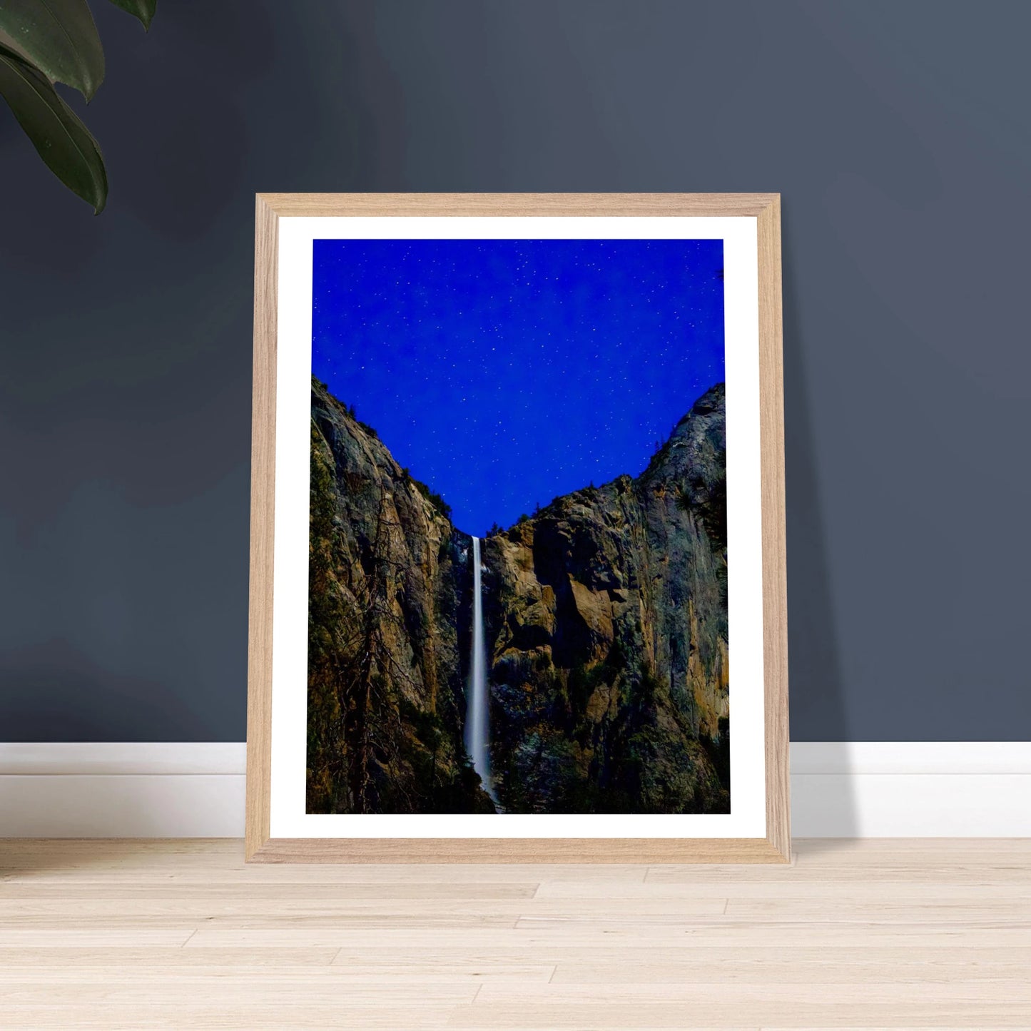 b37ad0f3-e8d9-4fa3-a854-09c28218dd02