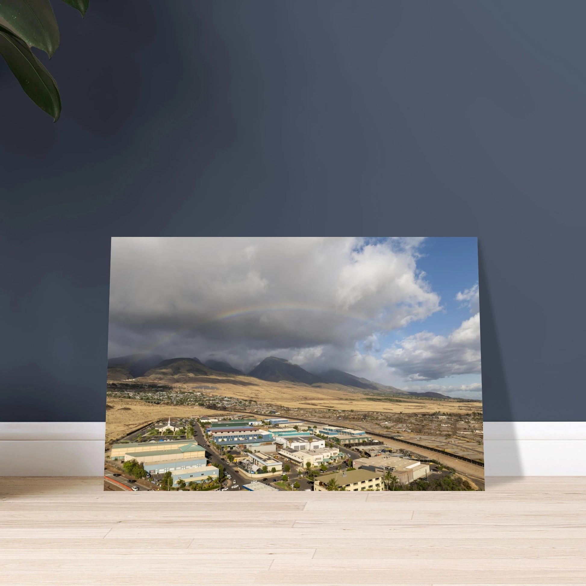 b41615d6-f0f1-488b-bff2-0a2a09fc16db