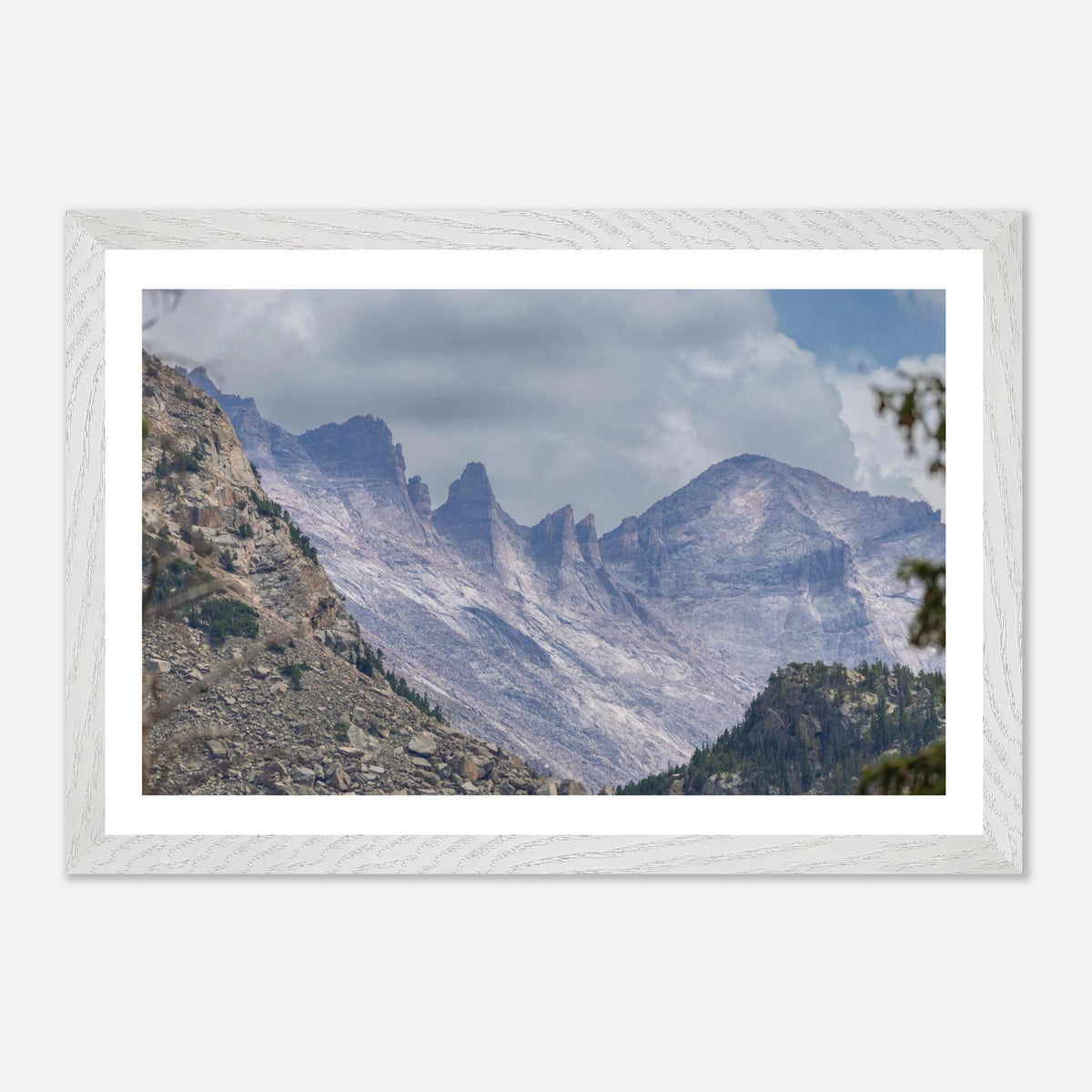 Infrared Redwoods — Dawn Sentinel — framed or canvas wall art preview