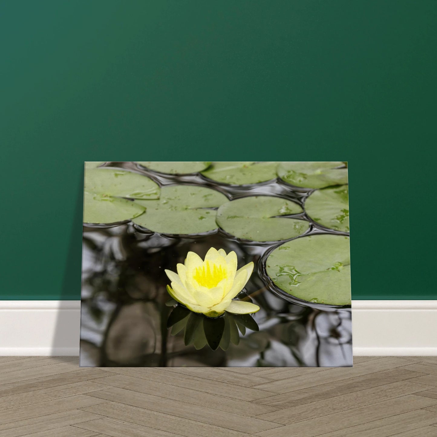 b4ecf790-5955-4d91-b8f1-b8cc3ea68112