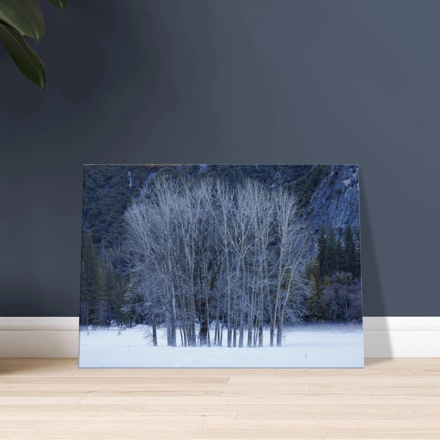 b53cc690-0948-48a4-91d7-8ede528ddb57