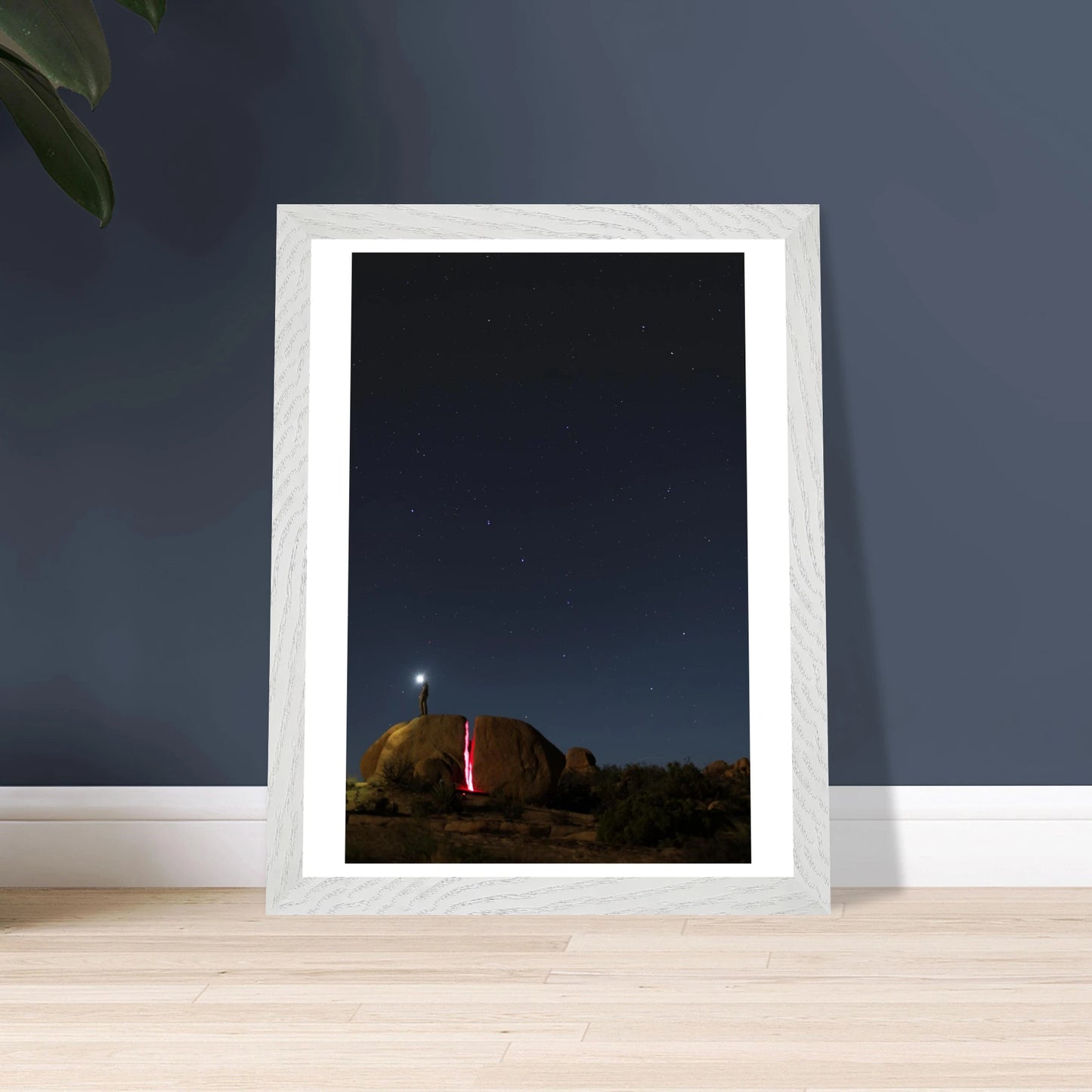 b557e276-3b1d-40a9-9836-b6edbf513ef5