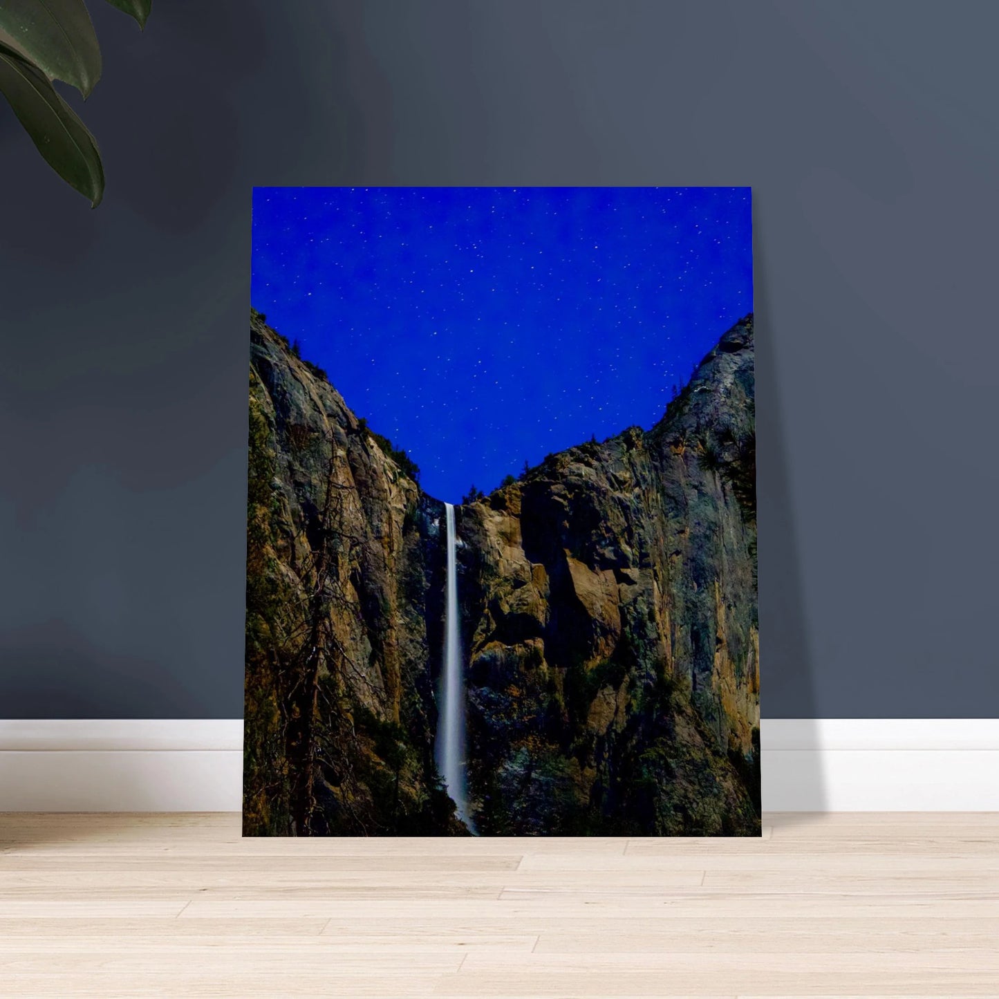 b5fff6c6-5bc4-4bd9-a248-0e7e39e1f4d5