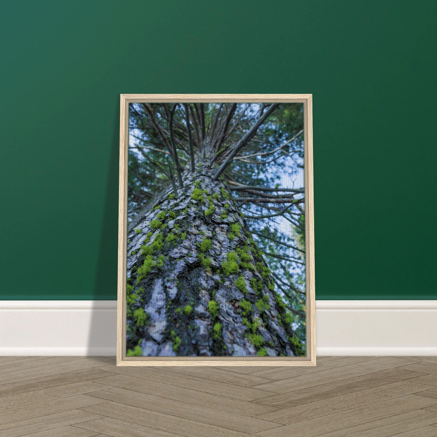 b668daca-5e9d-4cb6-8df5-8baf5751ea9e