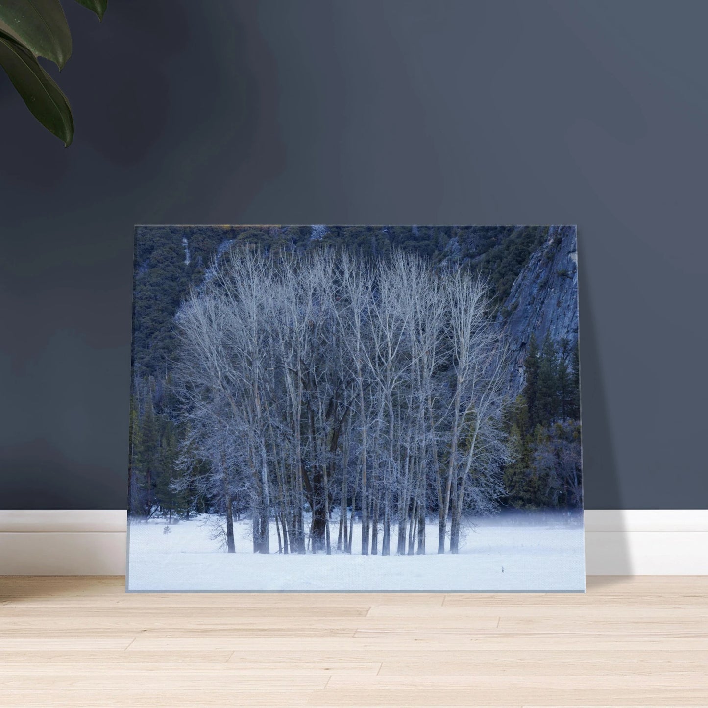 b9be1a56-d5c6-48d0-8d24-a4c4b8b2b070