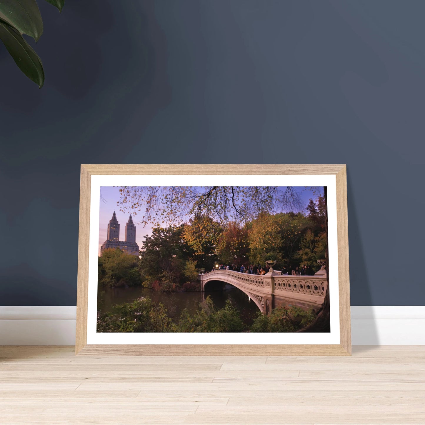 bae17342-7b28-4e33-9617-23e49d2a59f6