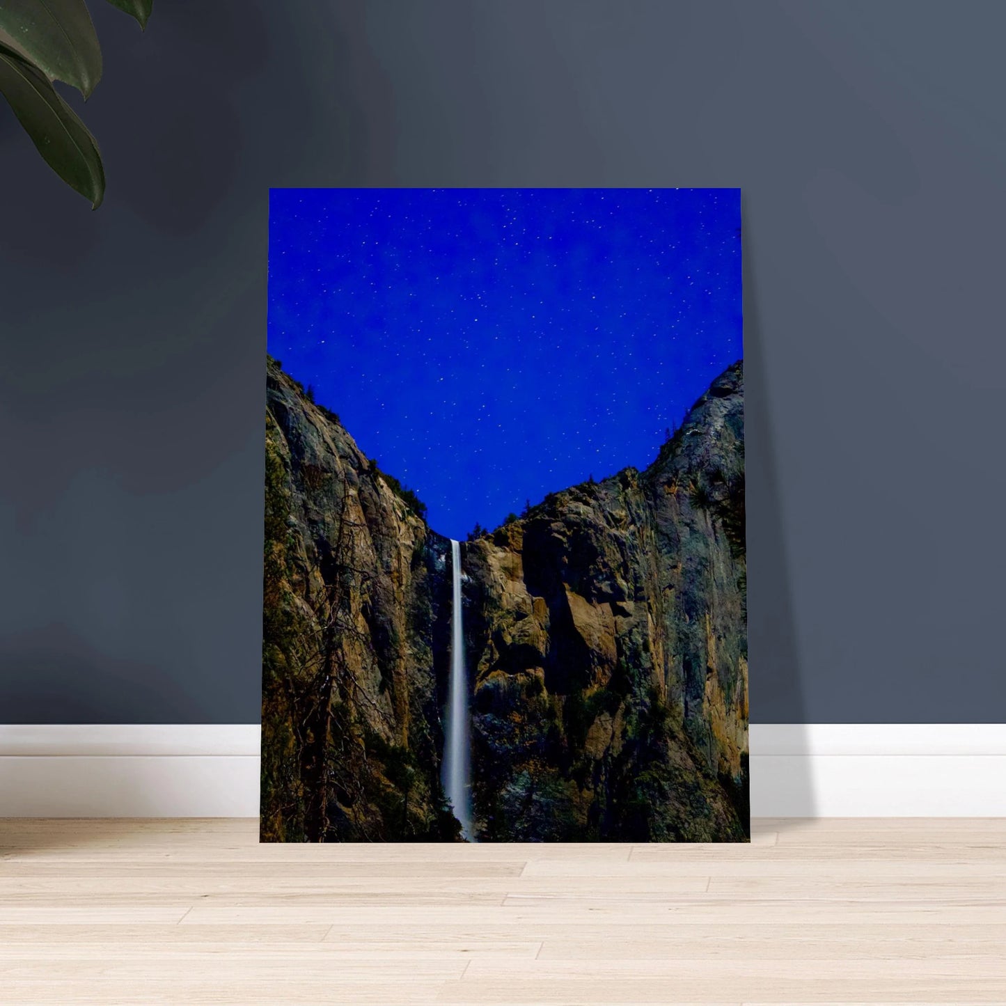 baff2f24-ee98-4b27-b367-7e3c0b6919f3