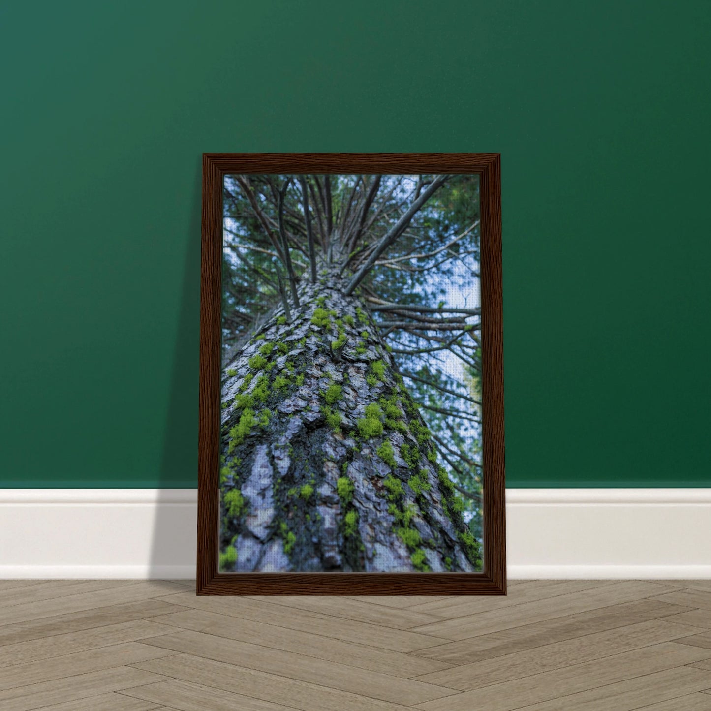 bc682771-180b-431e-80db-eaeb27191a04