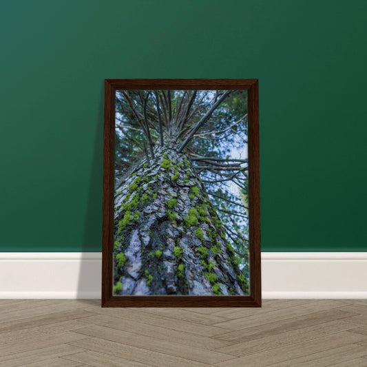 bc682771-180b-431e-80db-eaeb27191a04