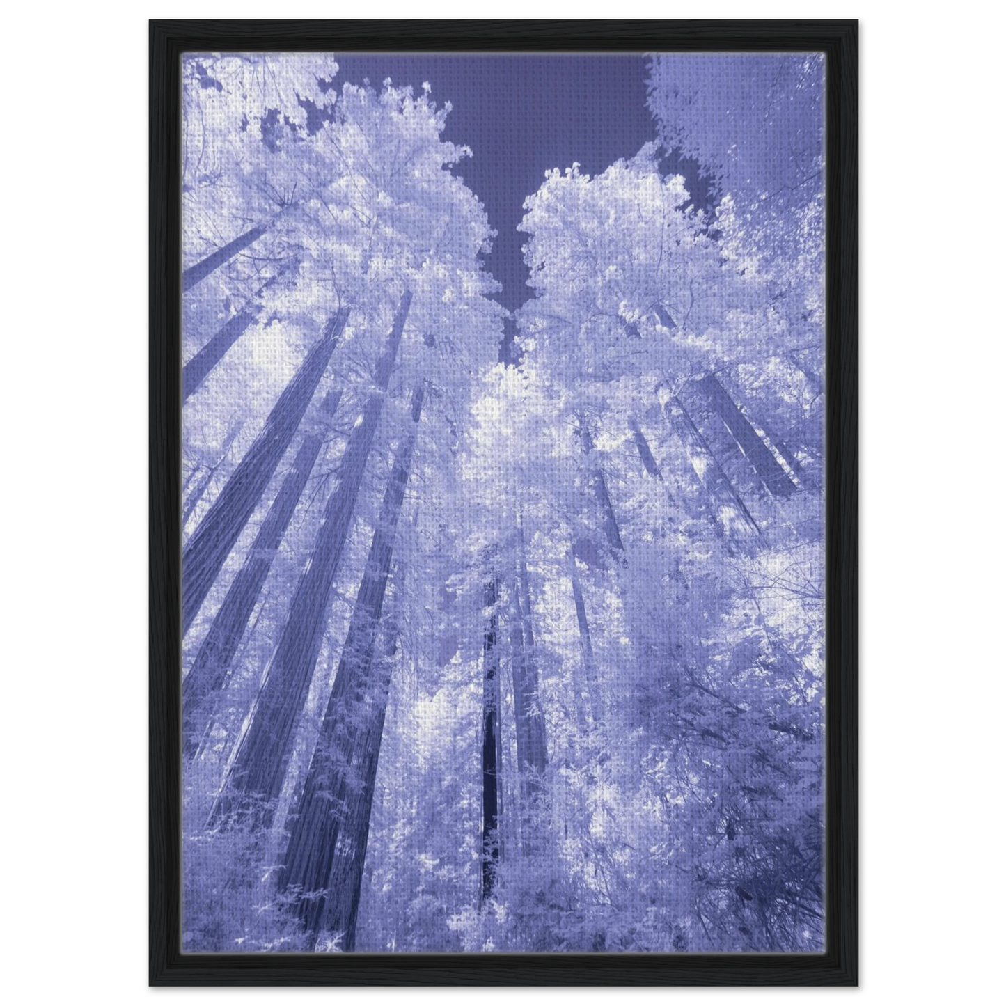 bdba7331-19c0-4855-bb76-1940c8ad6906