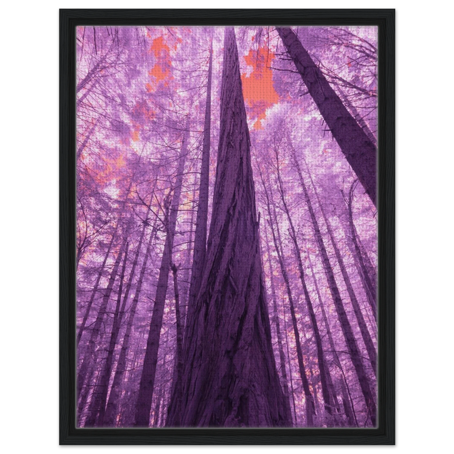 bdd7f8c4-829e-4c32-a259-895f2434b778