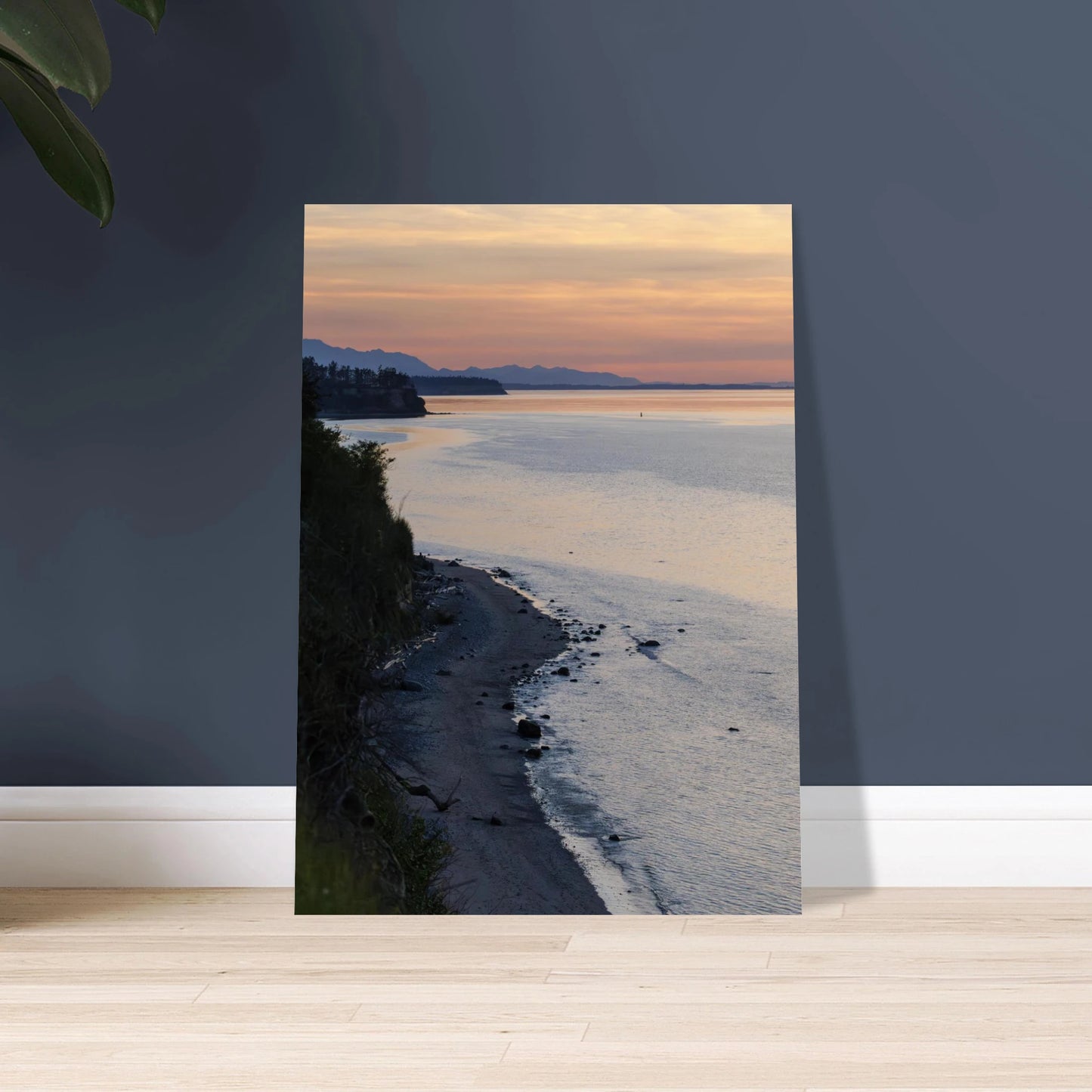 bf2a7c4c-a8c9-4104-8bf0-6e07461fb0a6