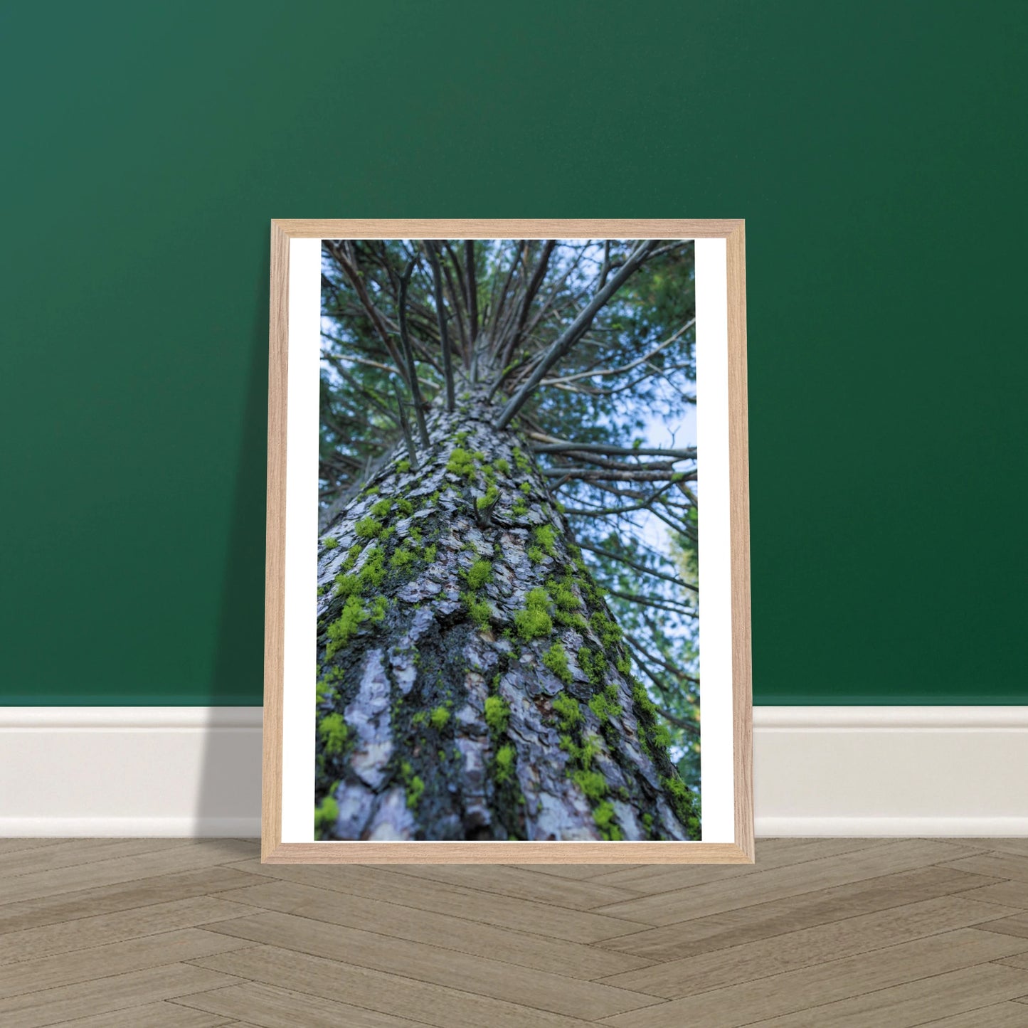 bf73611e-4a6e-45e0-88b6-2570c8dd1cfd