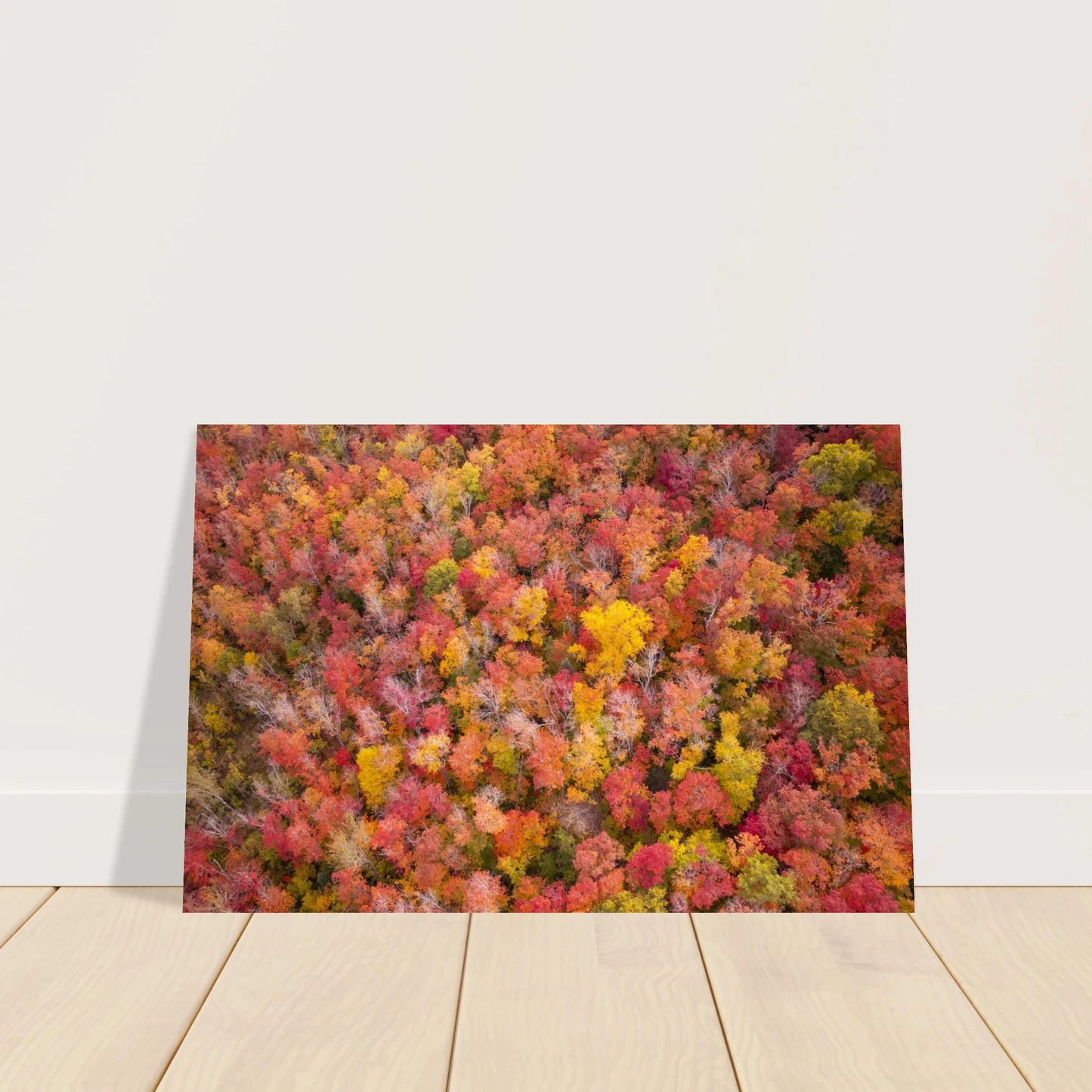 c1ac8b25-dd24-435c-a2fc-d1dcf9fd6211