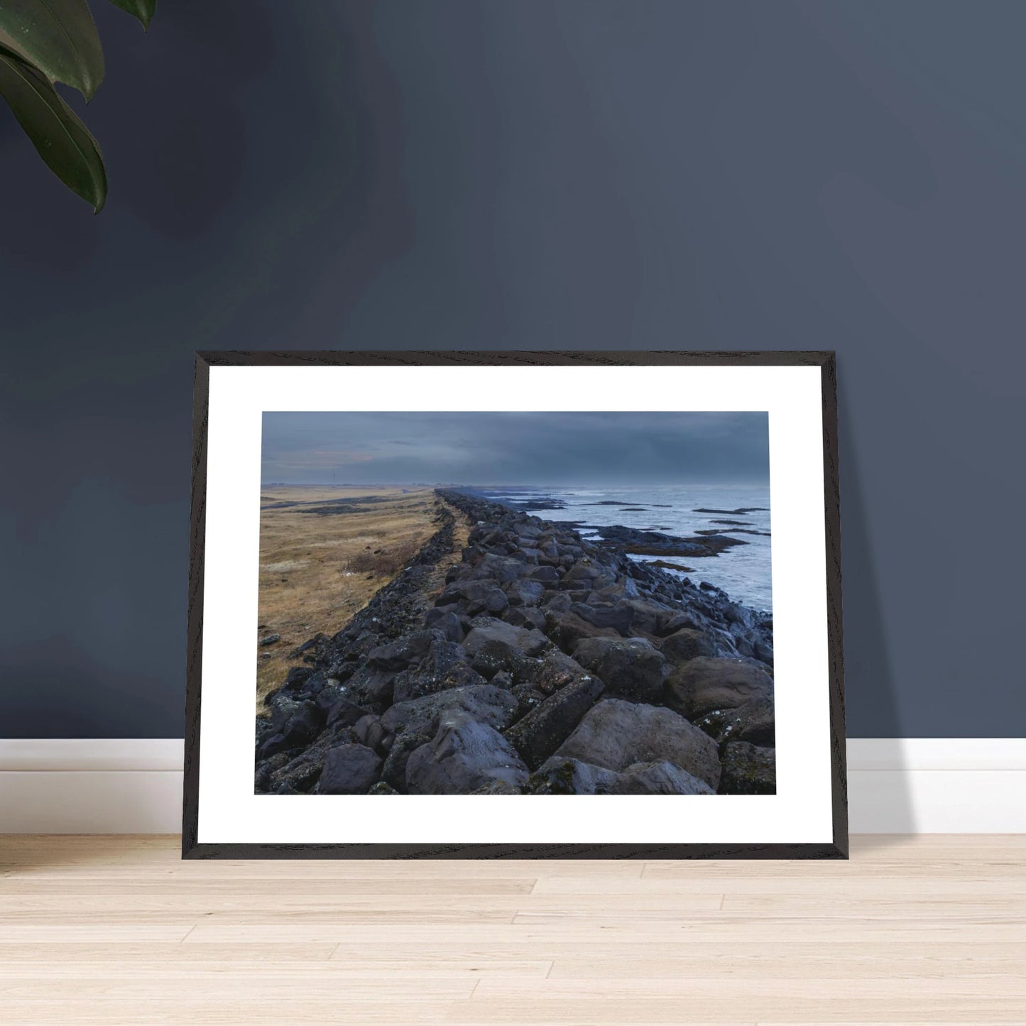 c1b464b7-6d68-4605-951d-1c61e01fd42b