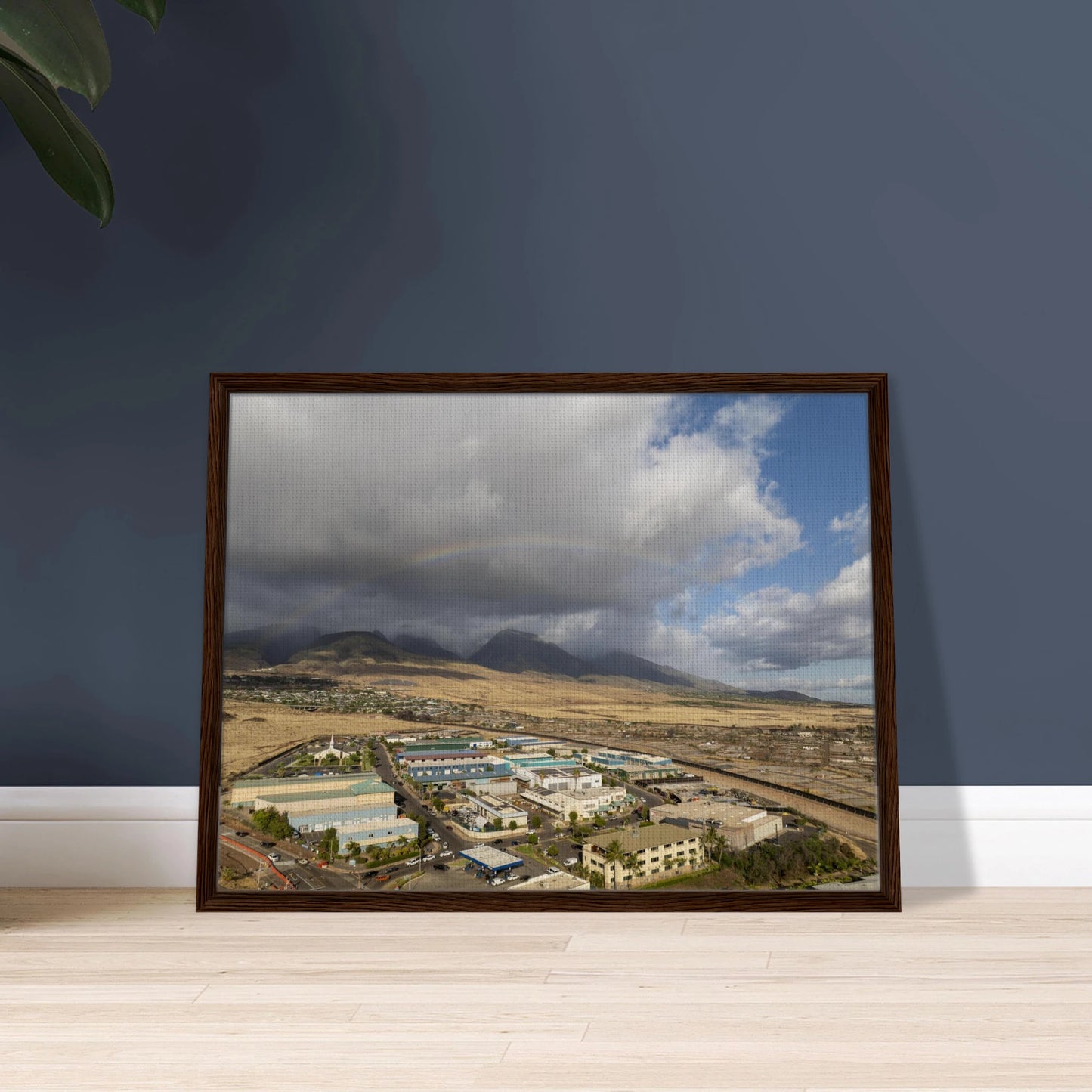 c24fdede-bbb8-470e-8241-83d88e8f670b