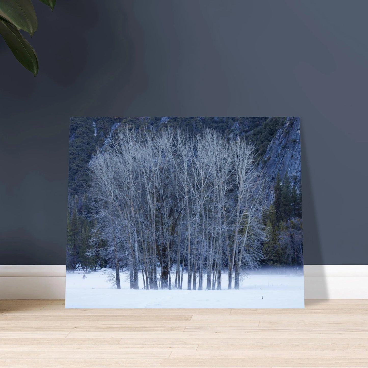 c304dcaa-439c-41df-b9a3-151feae3c48b