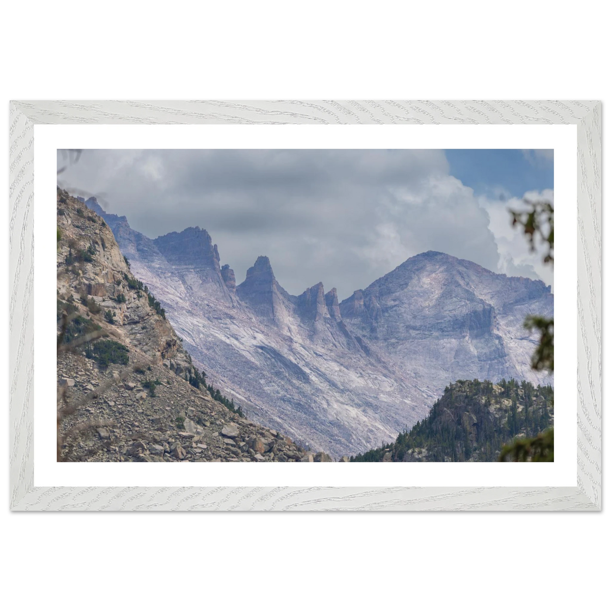 Infrared Redwoods — Dawn Sentinel — framed or canvas wall art preview