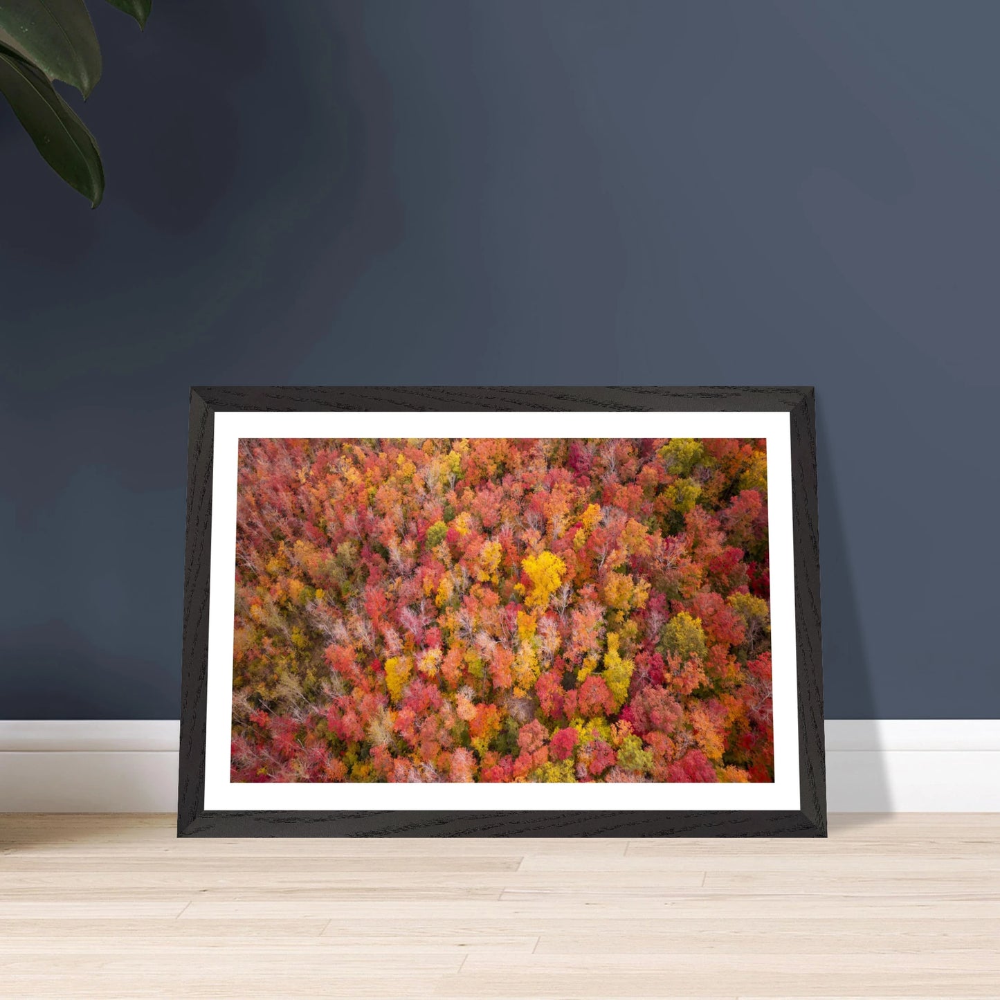 c42479c3-cb29-4d90-bd3f-66f781558849