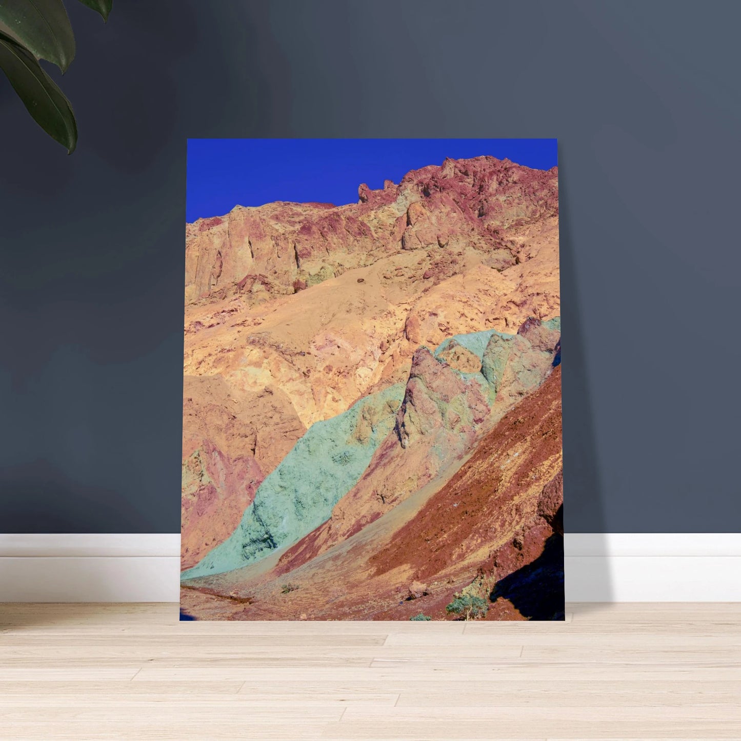 c47c9c2a-3ad3-4d16-96d0-8717cb32f5d9