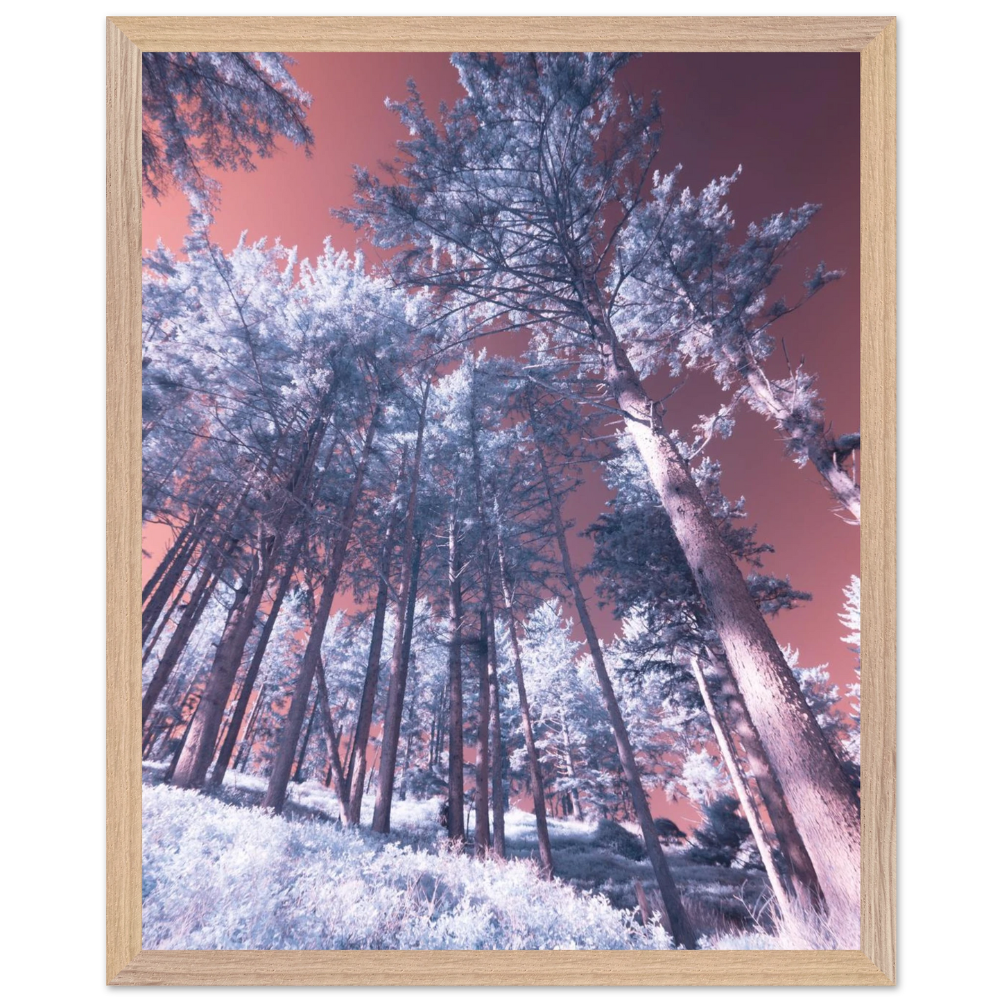 c4d3977e-0032-4ae1-ab8d-262df67d63cb