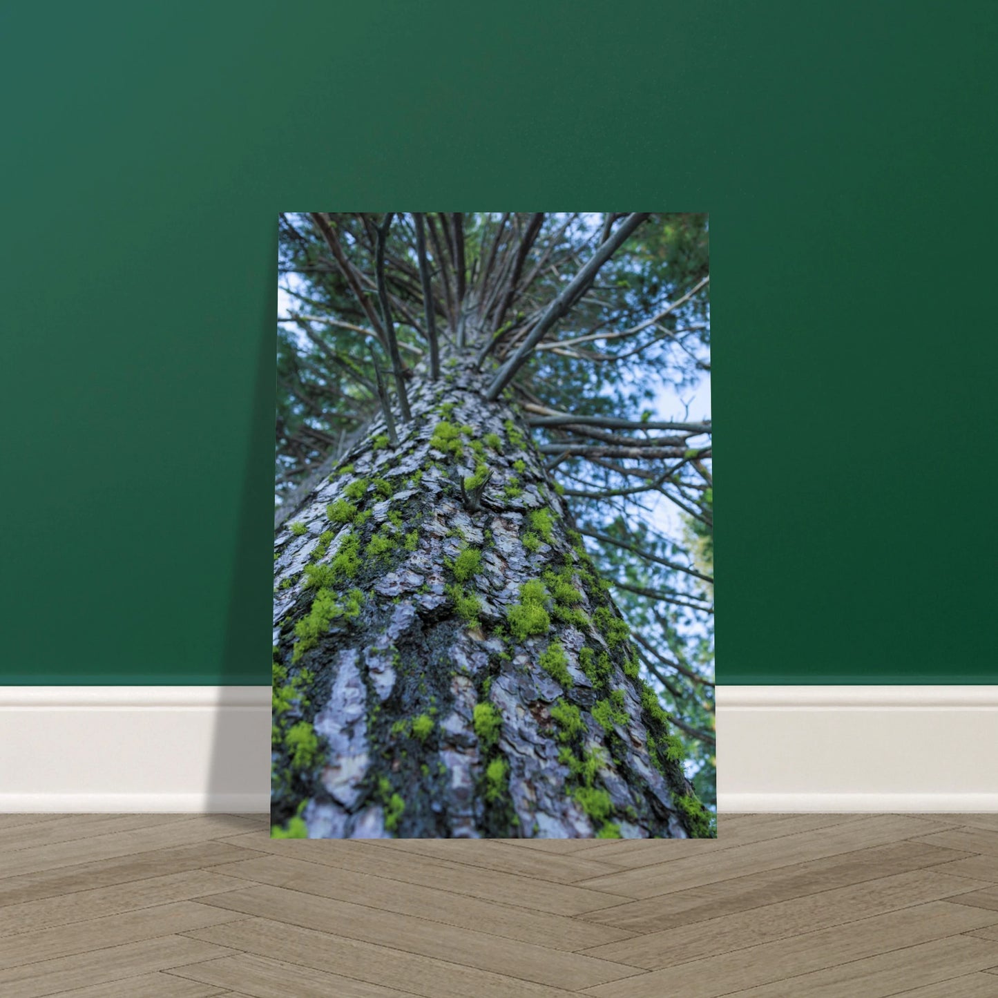 c5231e75-6823-44b5-af56-ca77a2803c5e