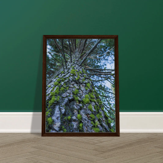 c59247f4-2c71-4c3f-ae69-5960e10f2cc0