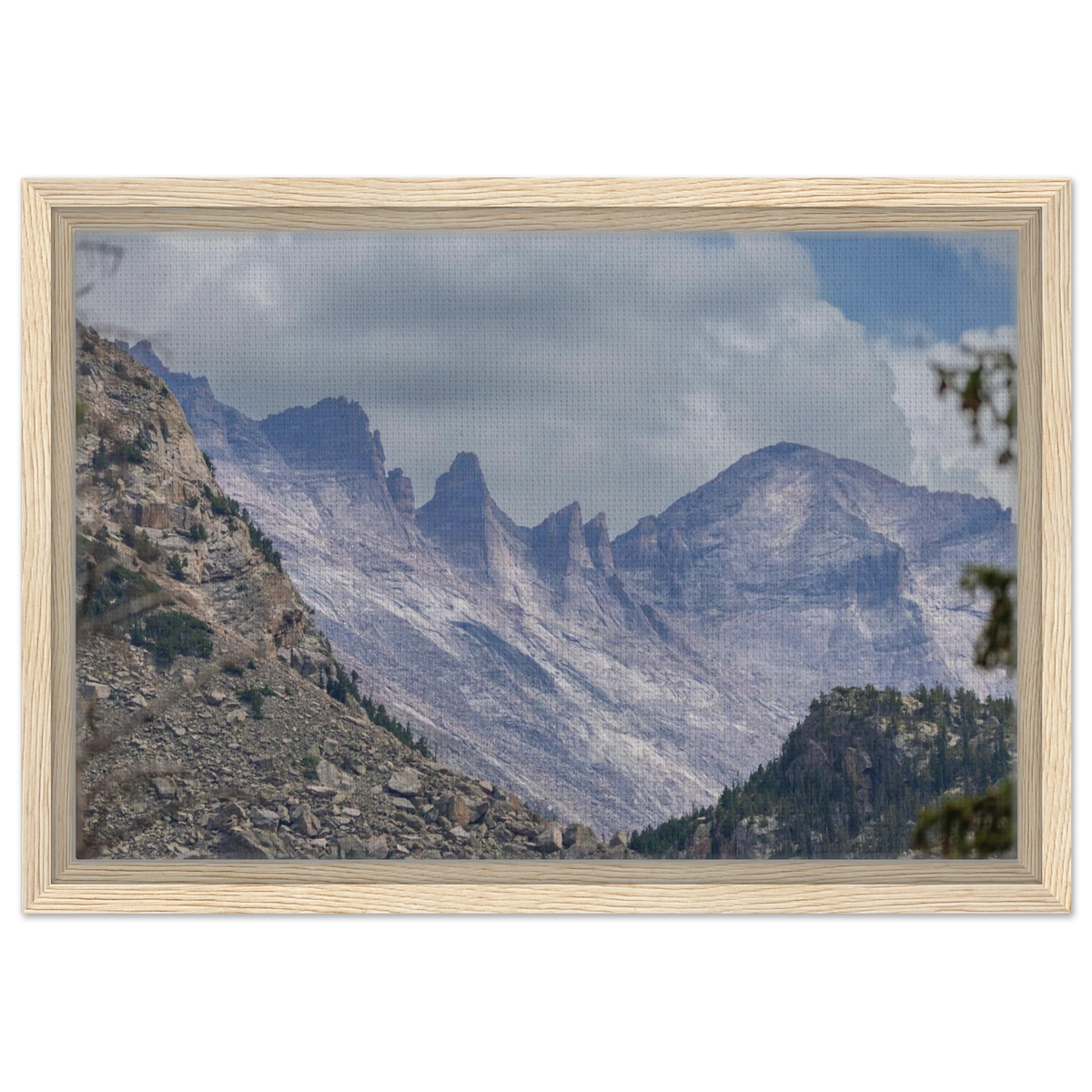 Infrared Redwoods — Dawn Sentinel — framed or canvas wall art preview