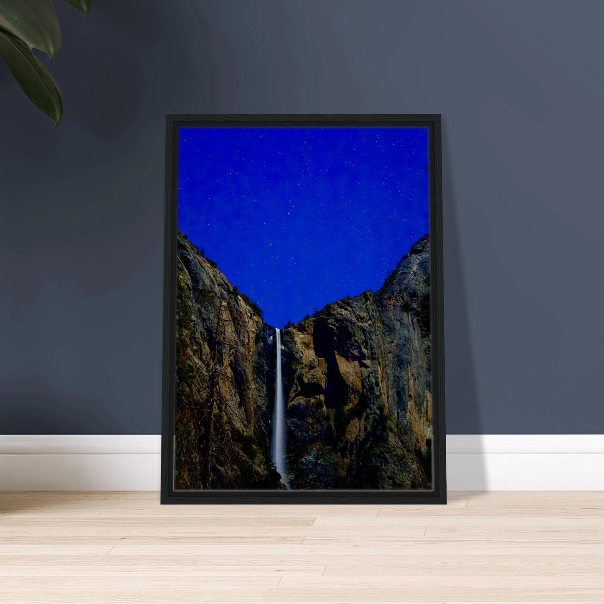 Bridalveil's Starlight Flow