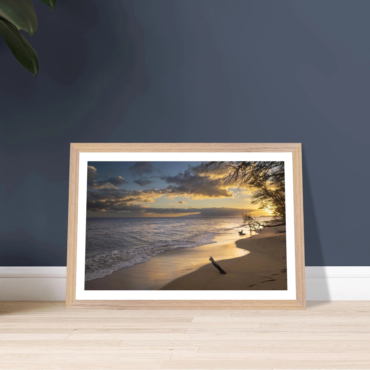 c7a811a7-d06d-4a6d-9dcd-a4b6f6a45ac8