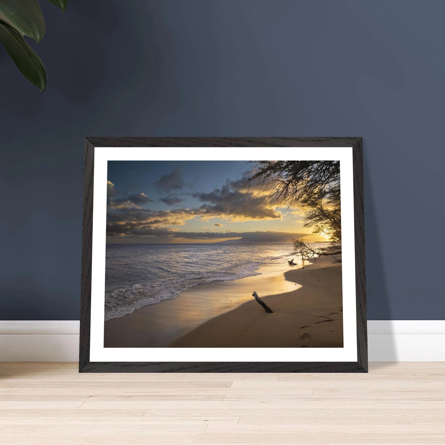 c7afd387-7b6d-4aad-ba62-5412f0c5ecf8